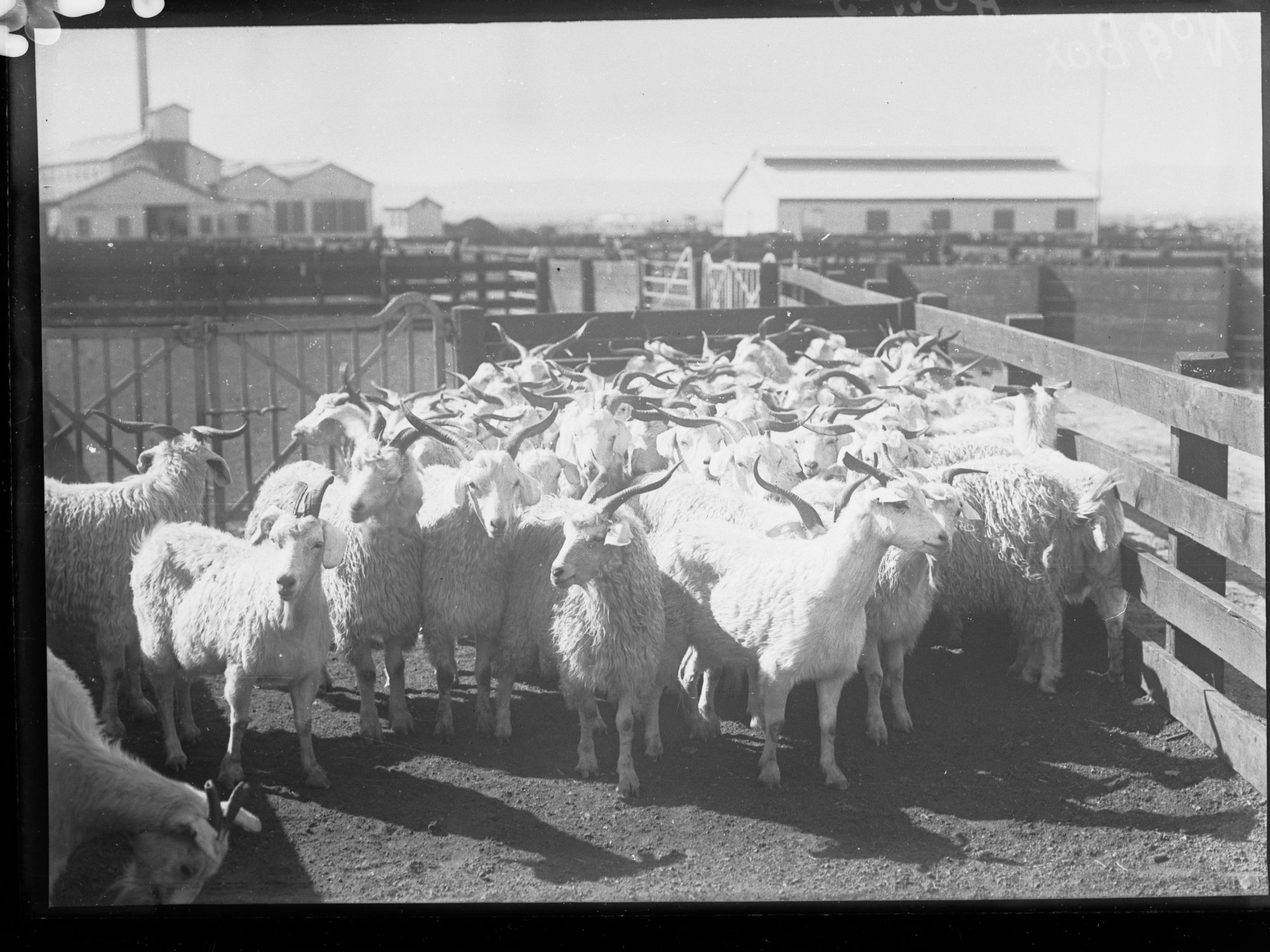 Port Adelaide Produce Department