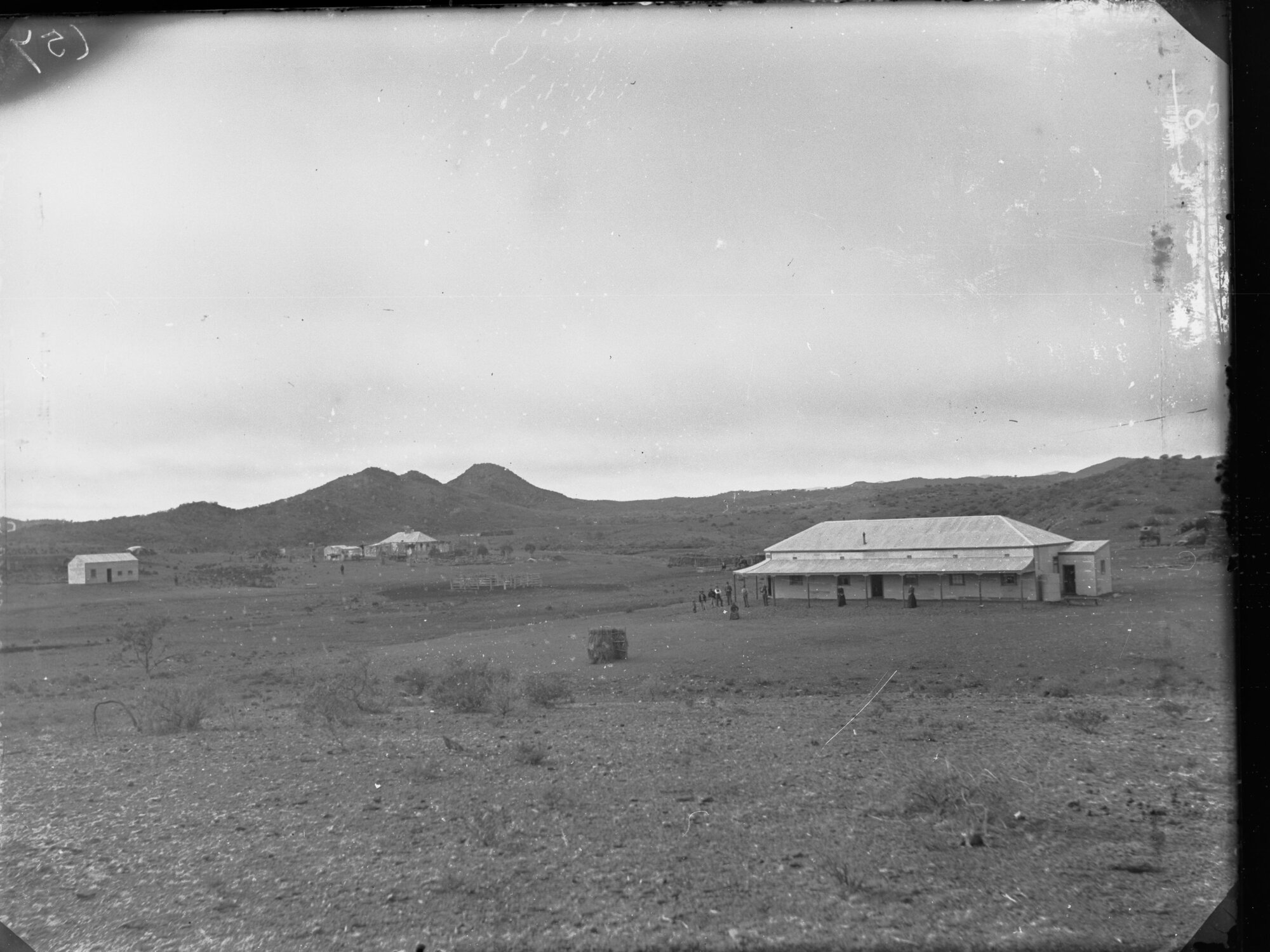 Mount Freeling Station