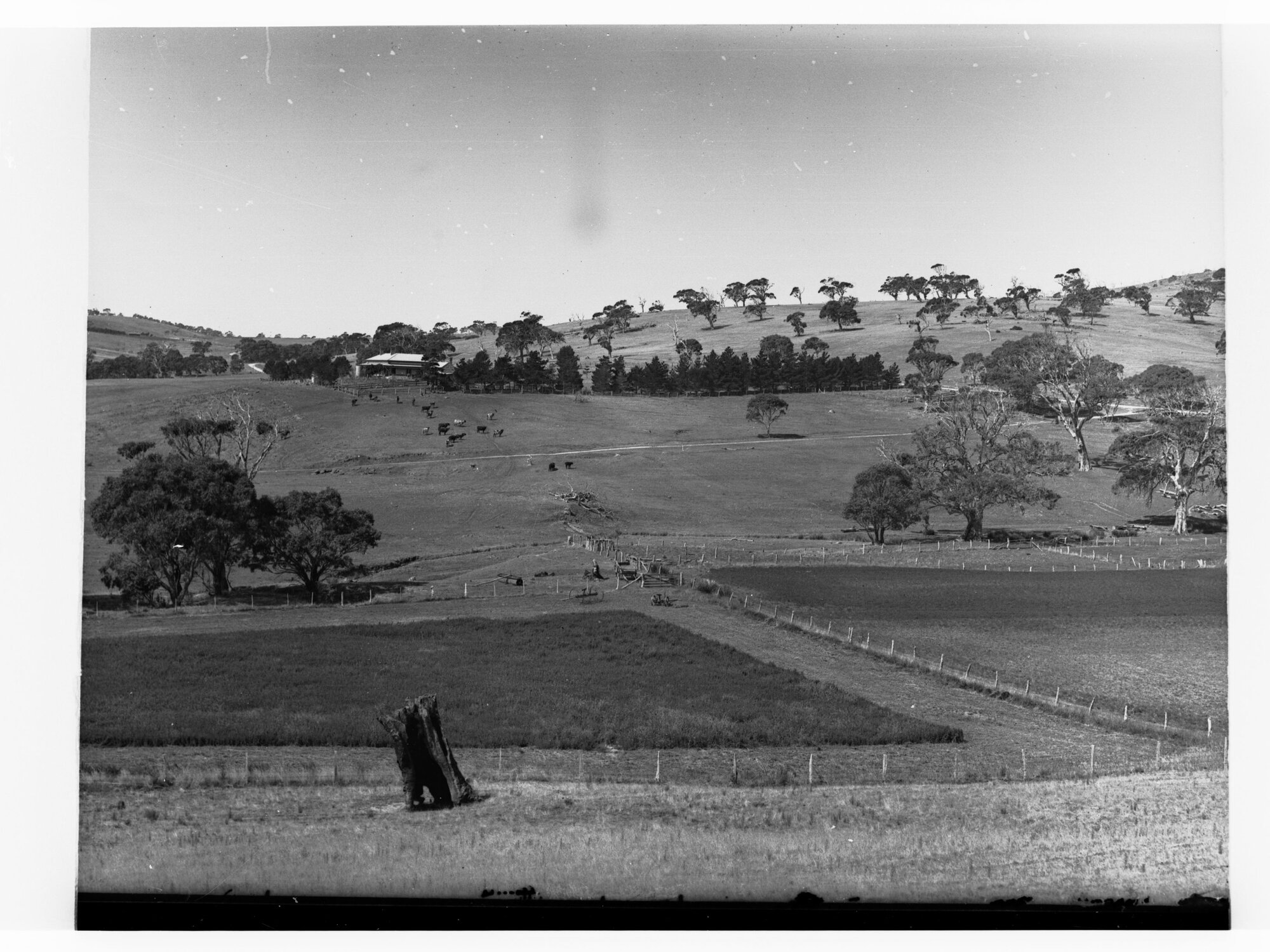 Homestead at Yankalilla