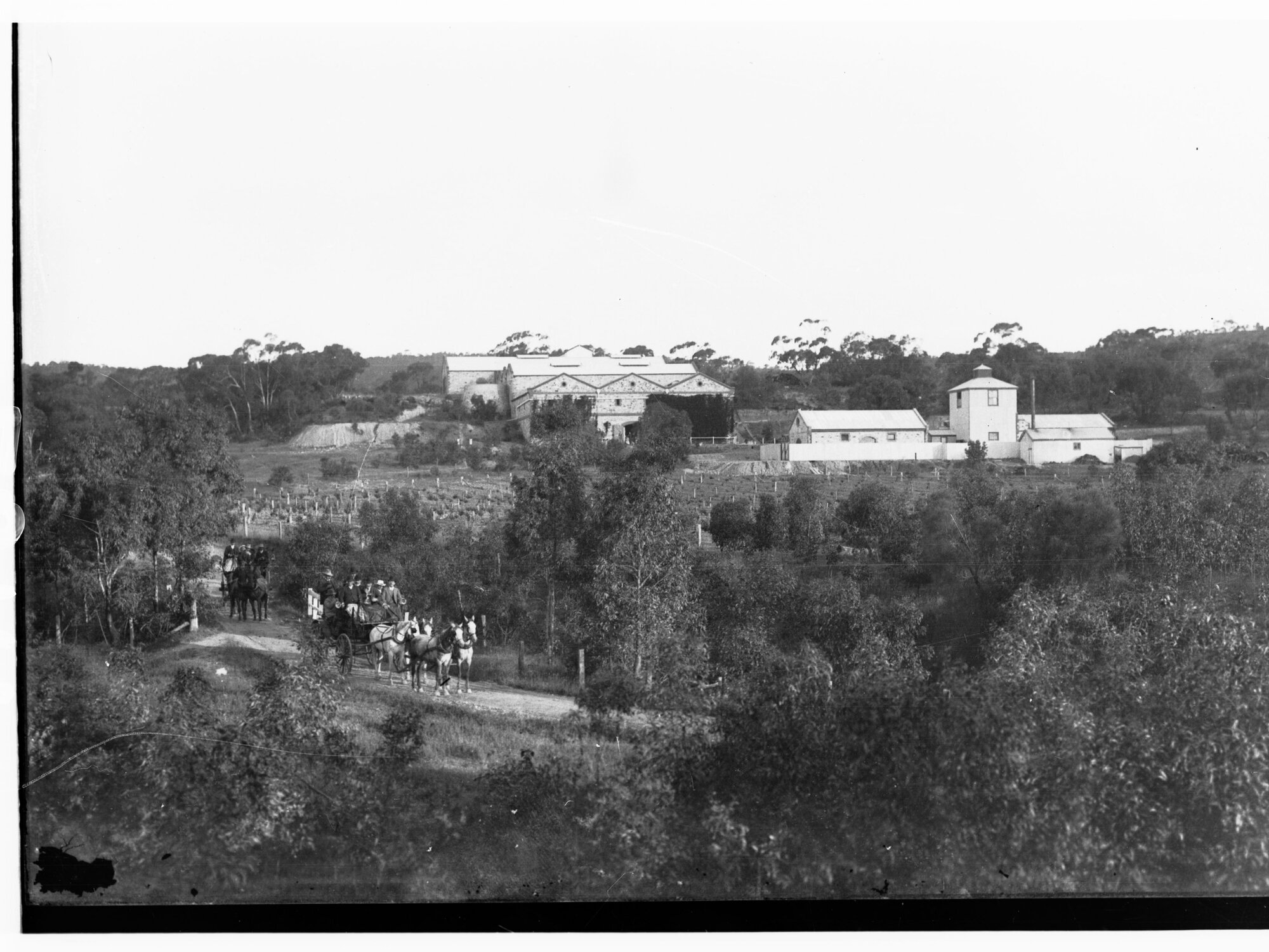 Horndale Winery and Cellars