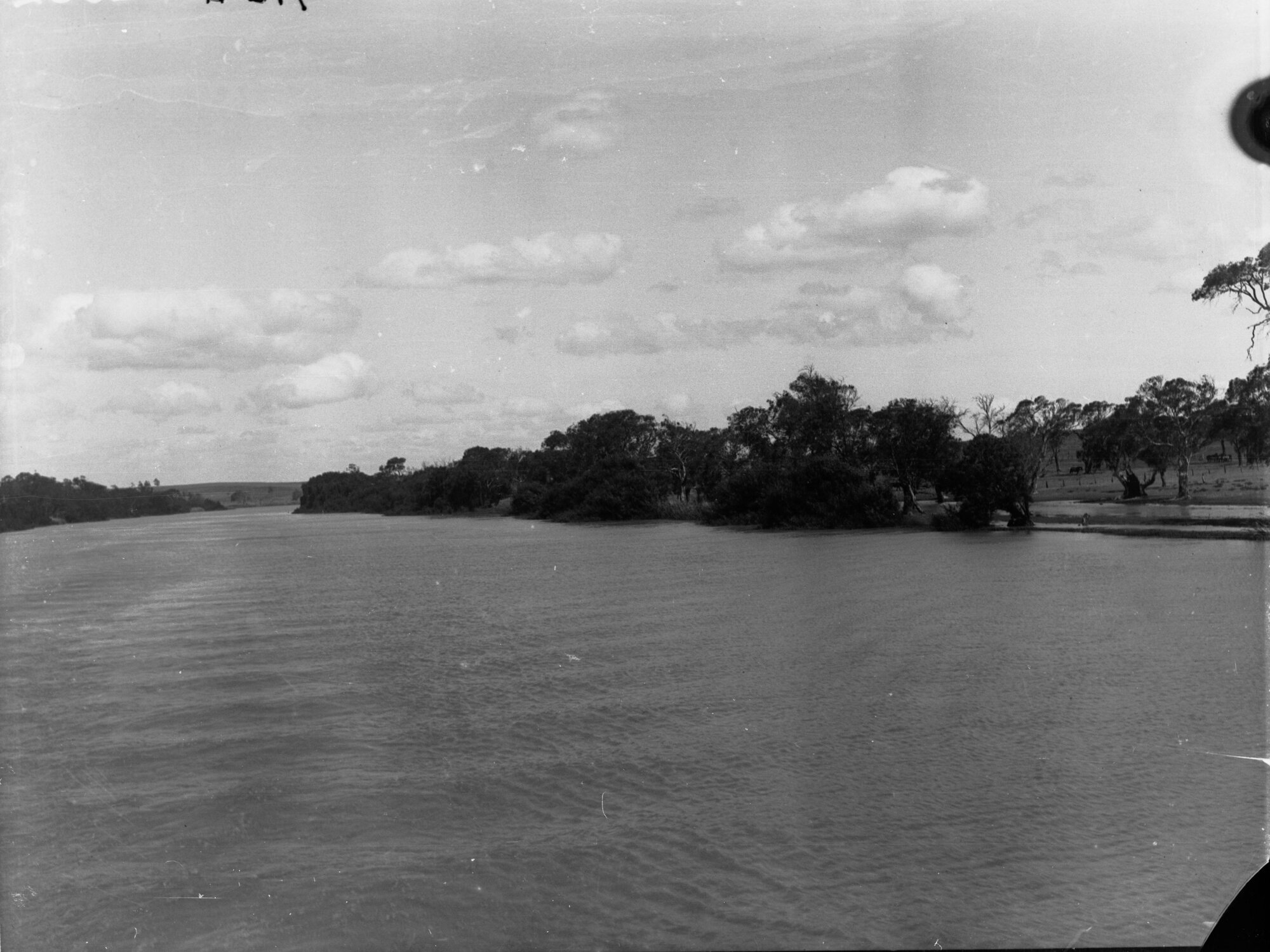Kingston showing River Murray