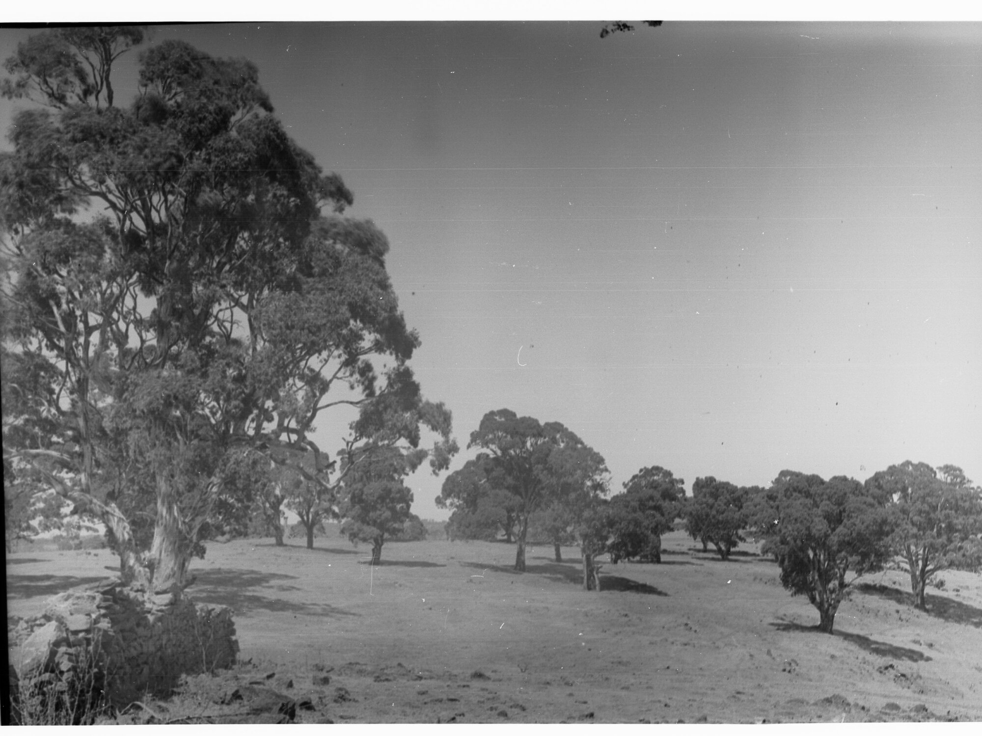 Mount Osmond golf links