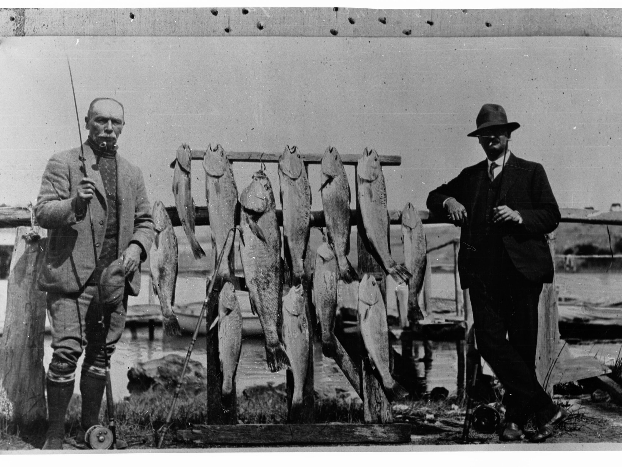 Men Standing Against Fish That They Caught