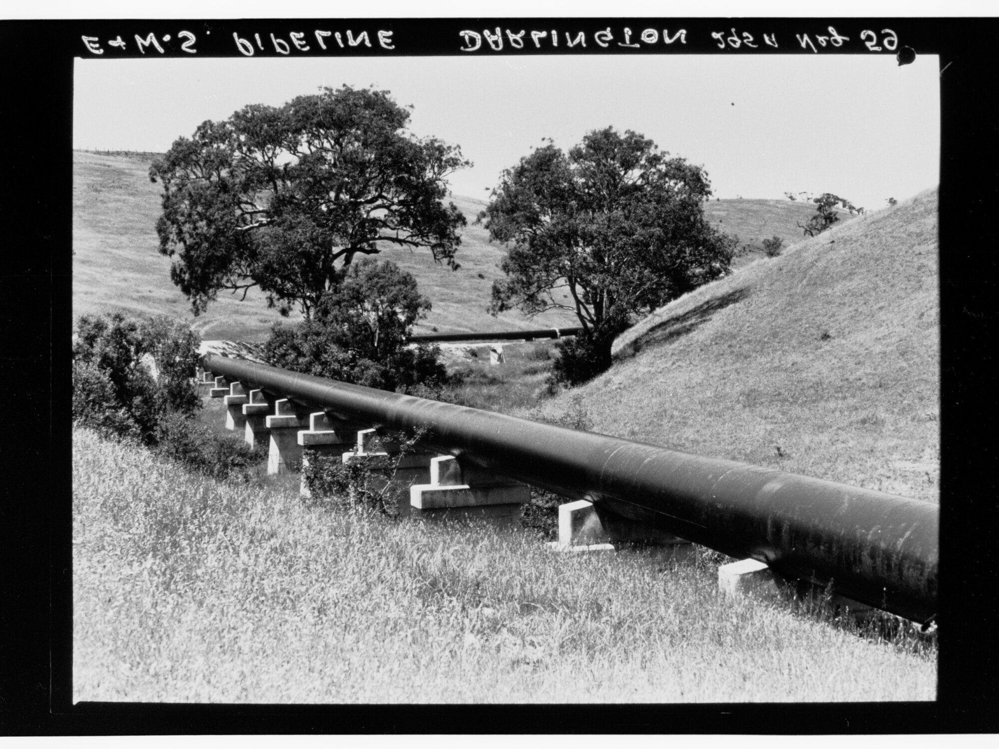 E&amp;WS pipeline, Darlington