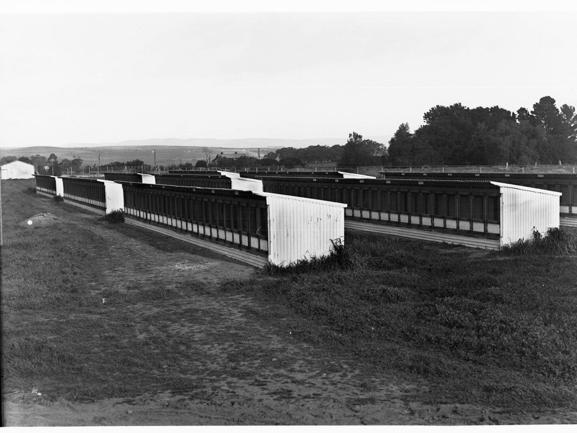 Parafield poultry farm, fowl houses