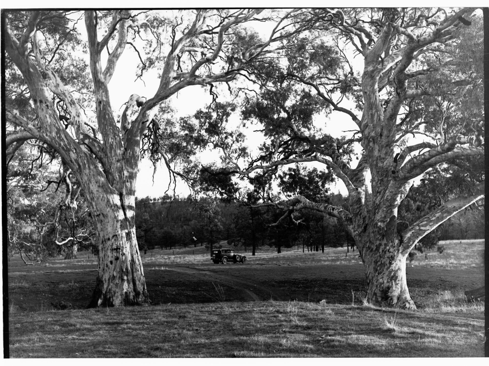 Flinders Ranges