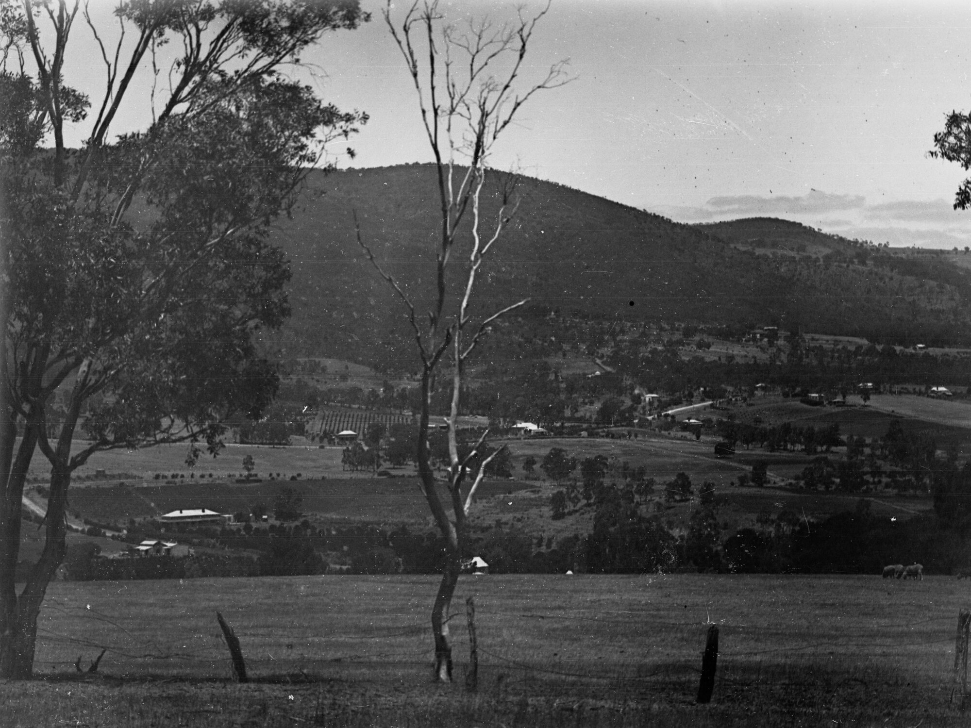 View in Mount Lofty Ranges Near Athelstone Showing Farms