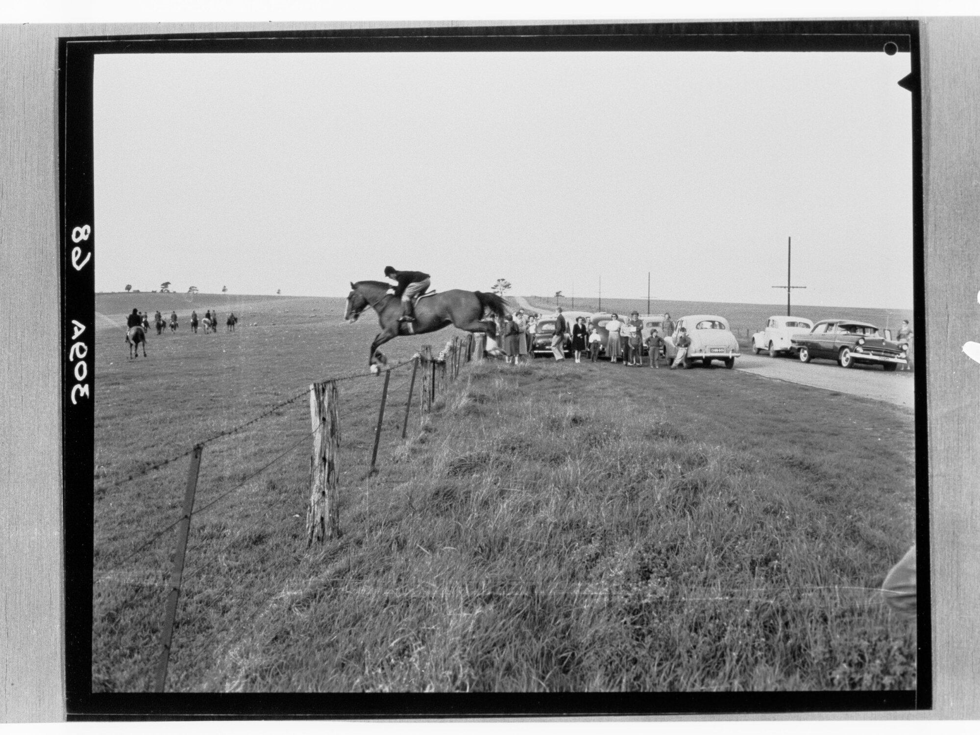 Horse competion - jumping fence