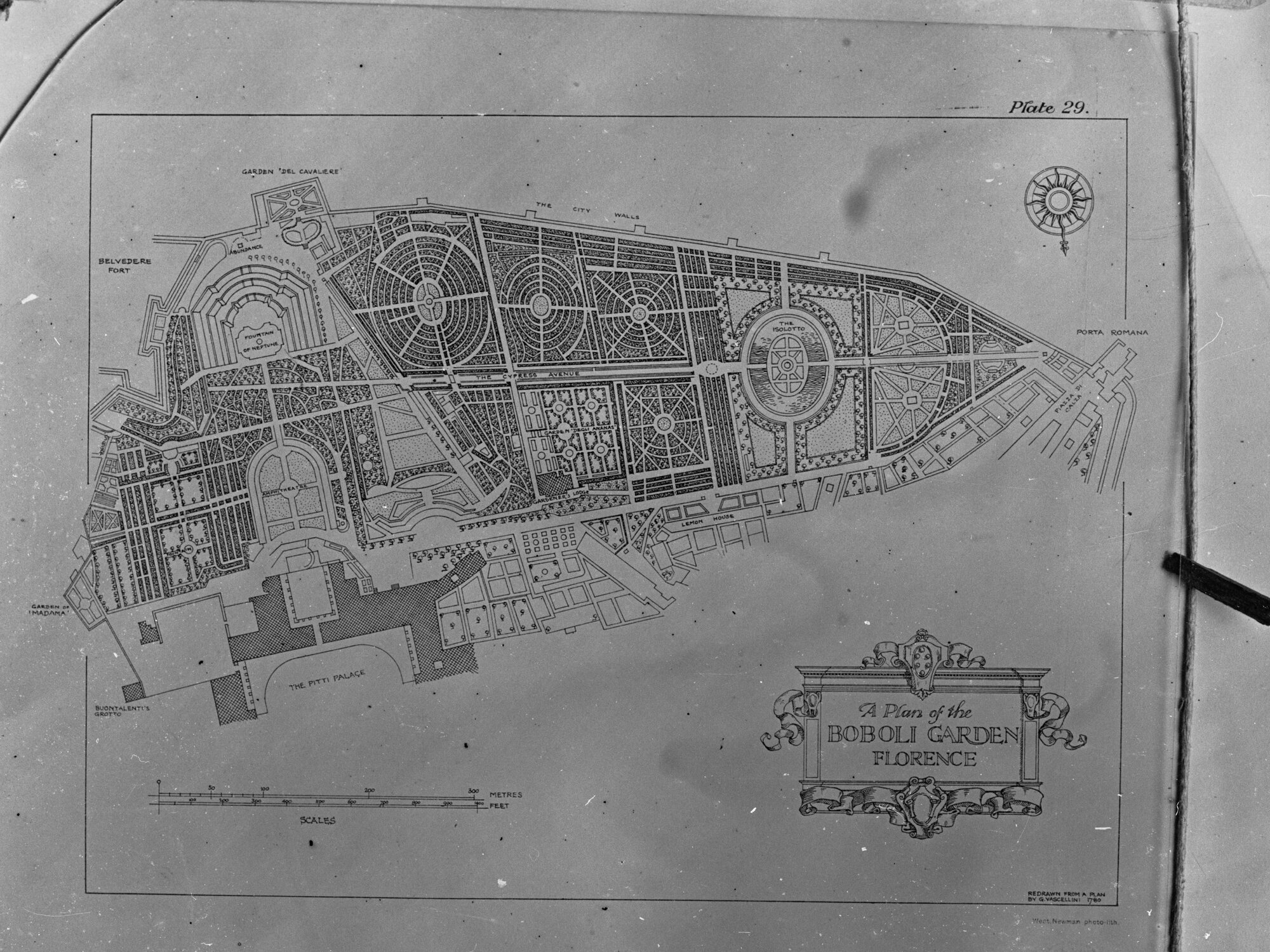 A plan of the Boboli Garden Florence,  technical drawing (Plate 29)