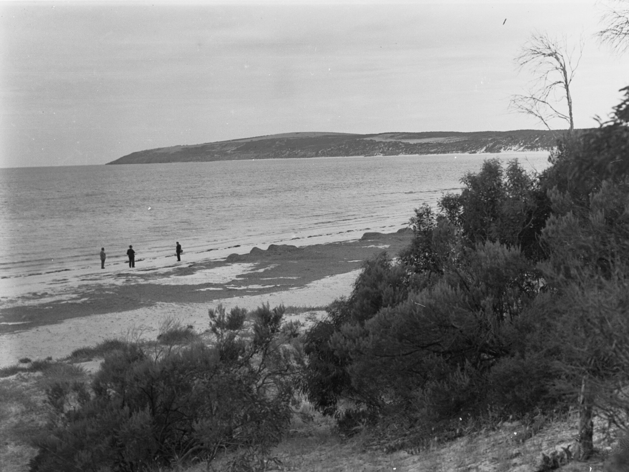 Emu Bay, Kangaroo Island, showing three men near sea shore