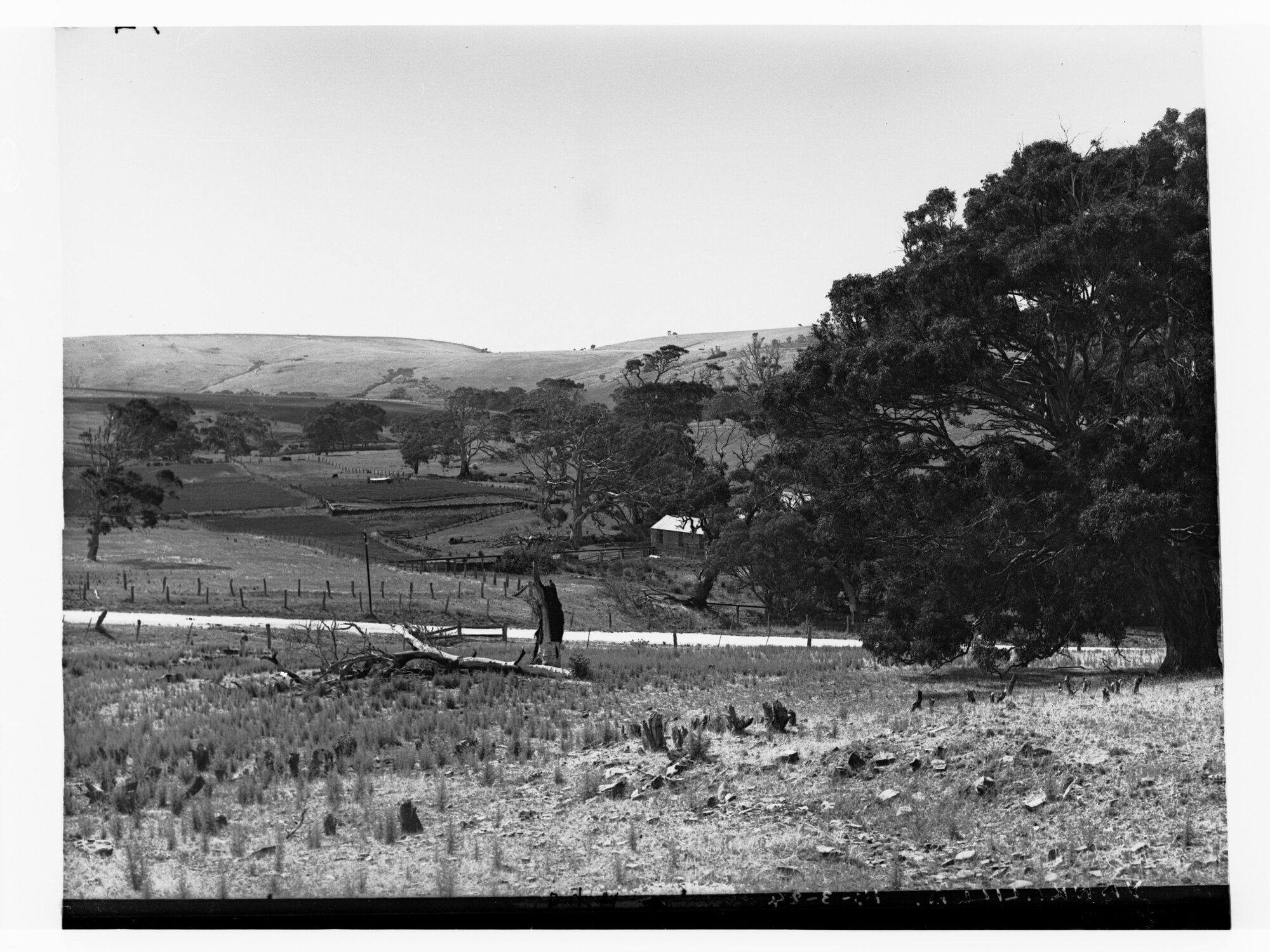 Farmland Around Yankalilla