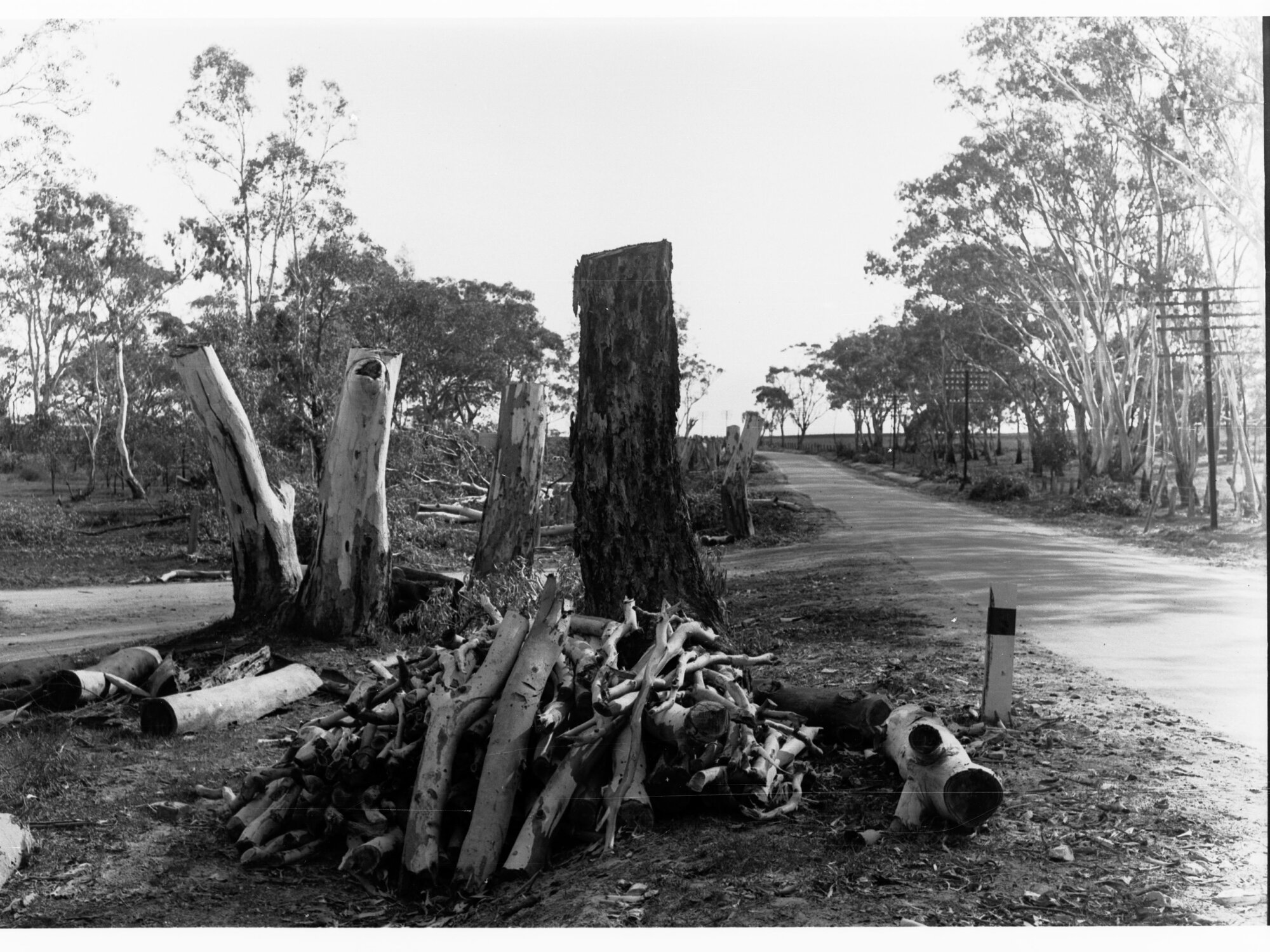Sandy Creek and Lyndoch