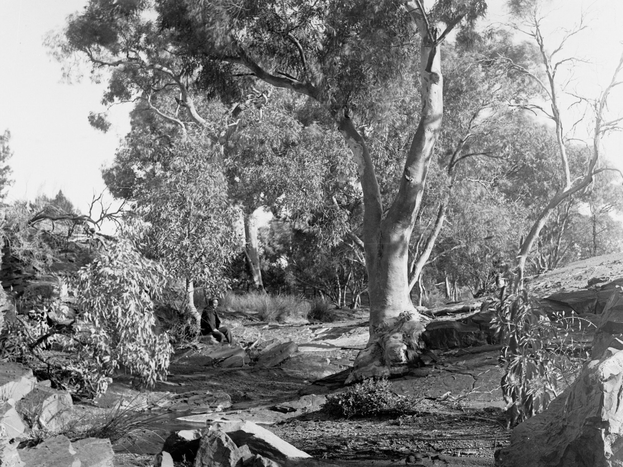 Flinders Ranges Angorichina Creek