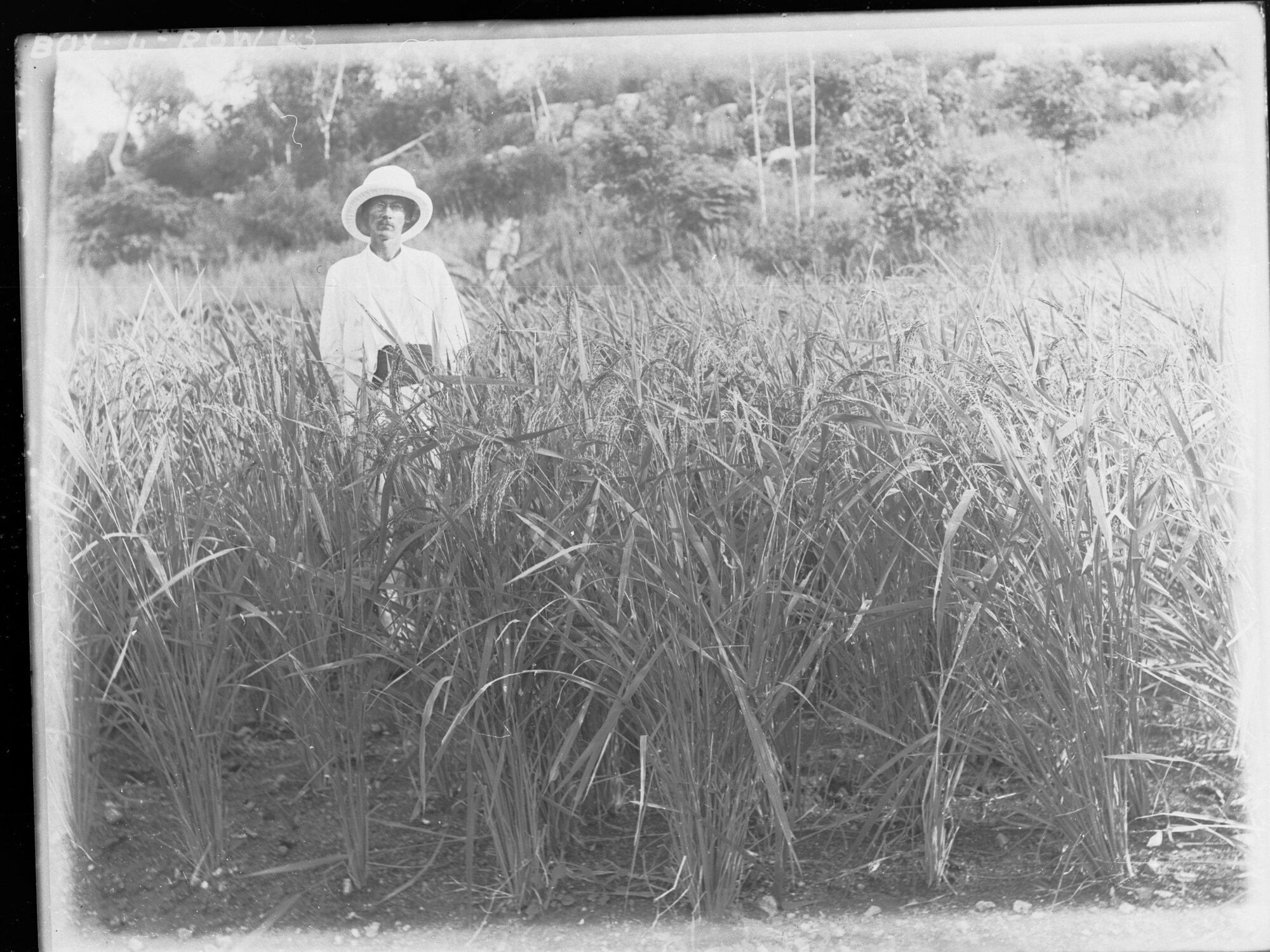 Northern Territory Property 