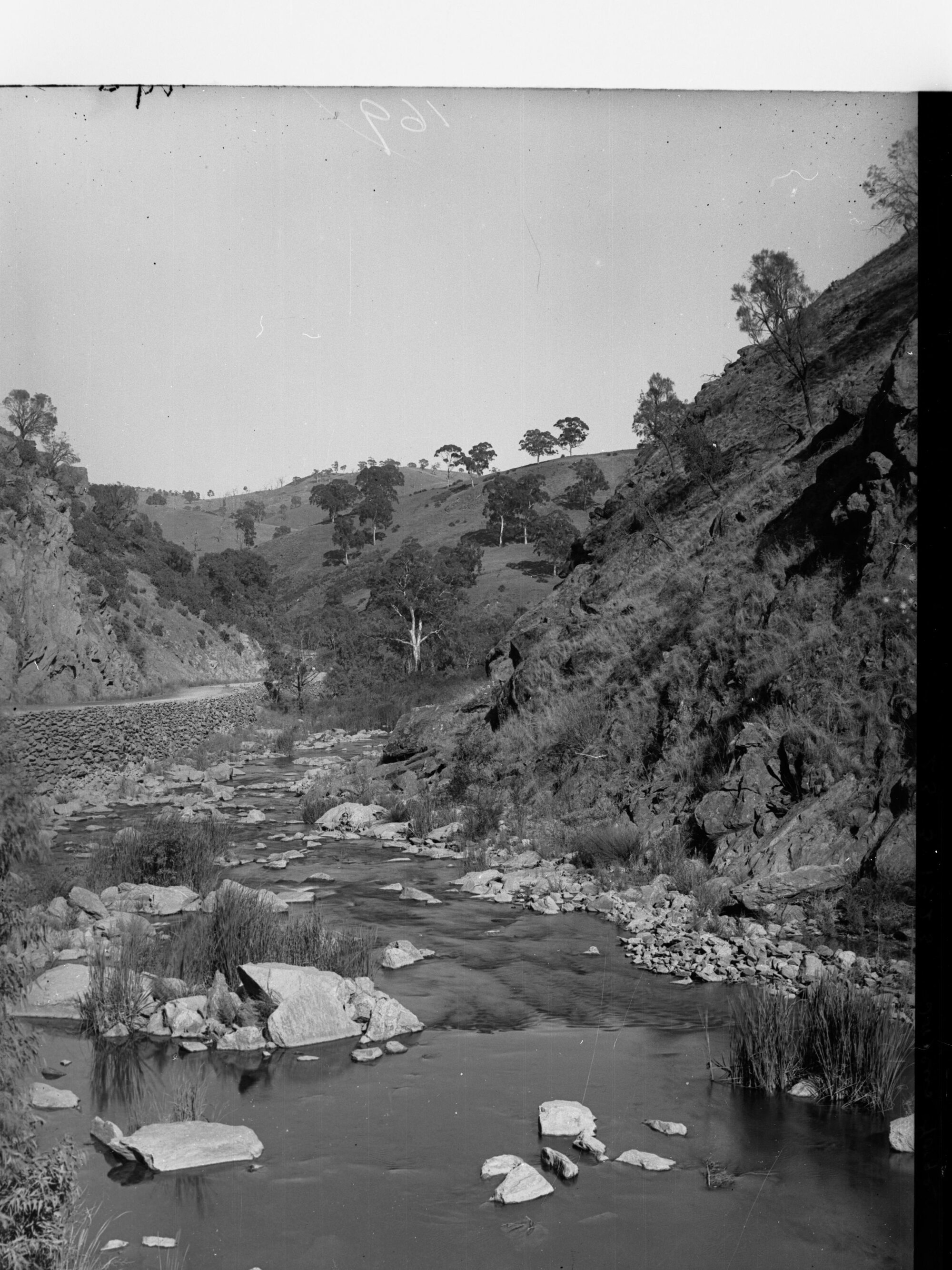 Torrens Gorge