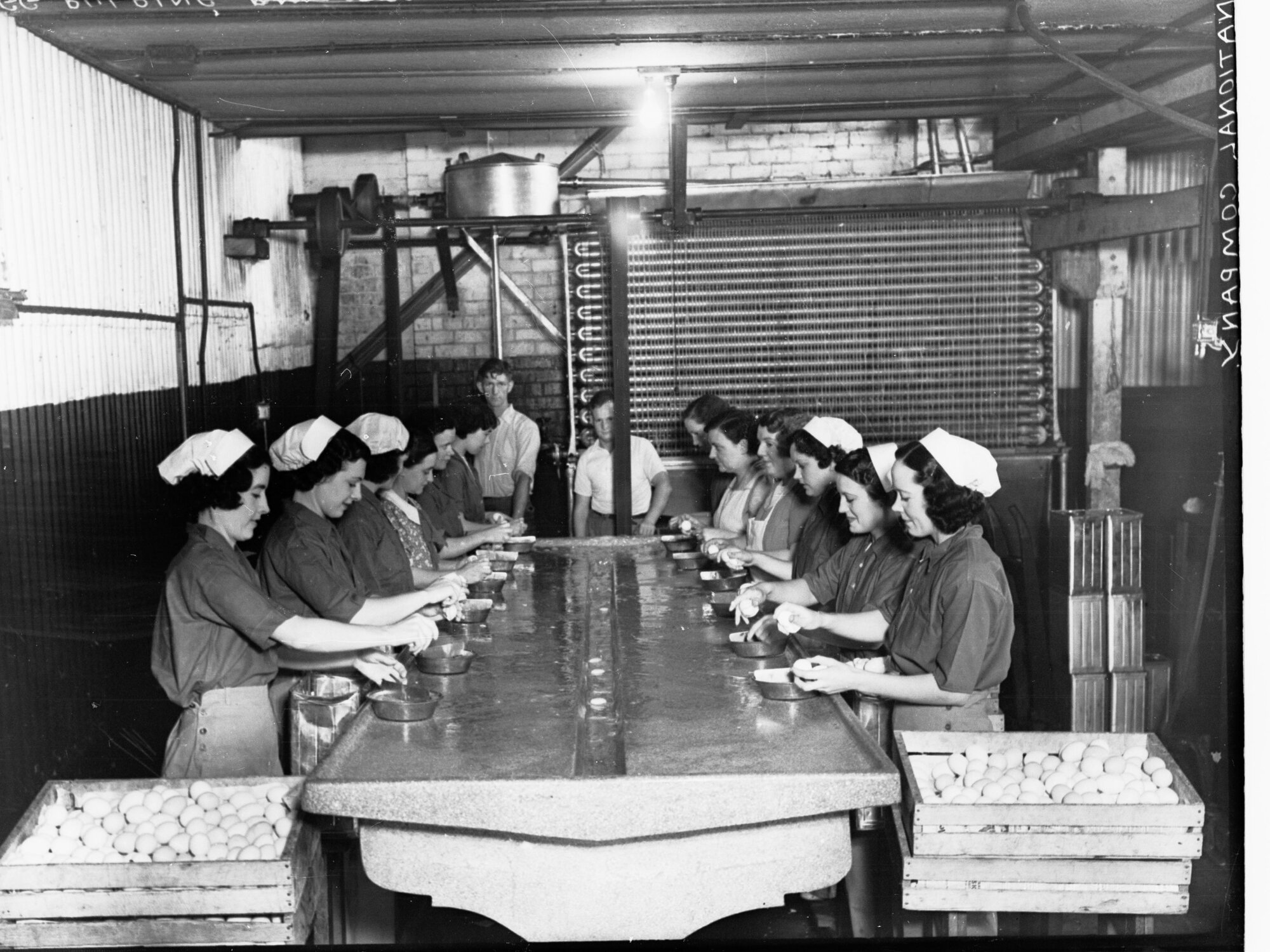 Lots of women egg pulping at national company
