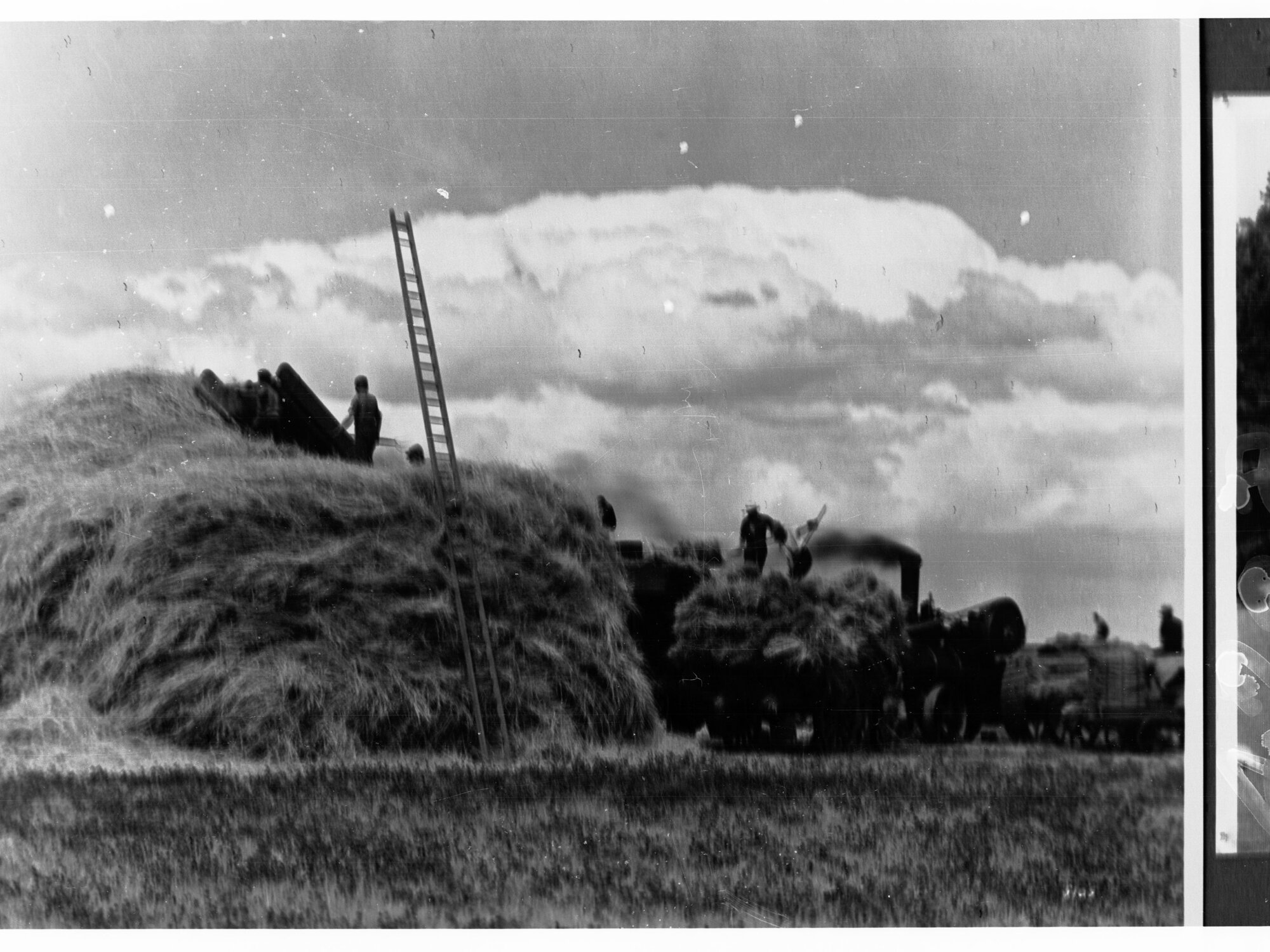 Men Making a Haystack