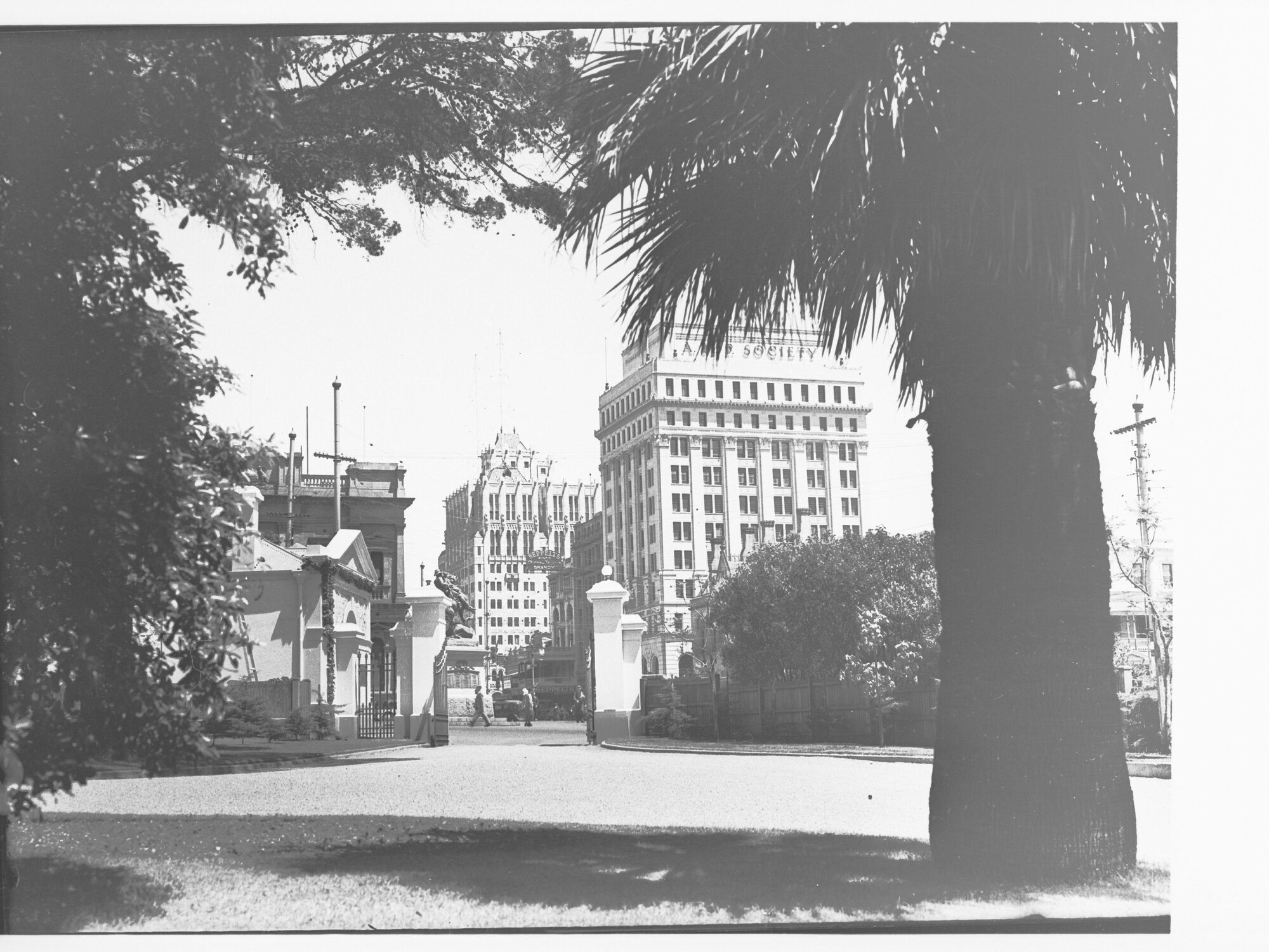 Adelaide viewed from the grounds of Government House