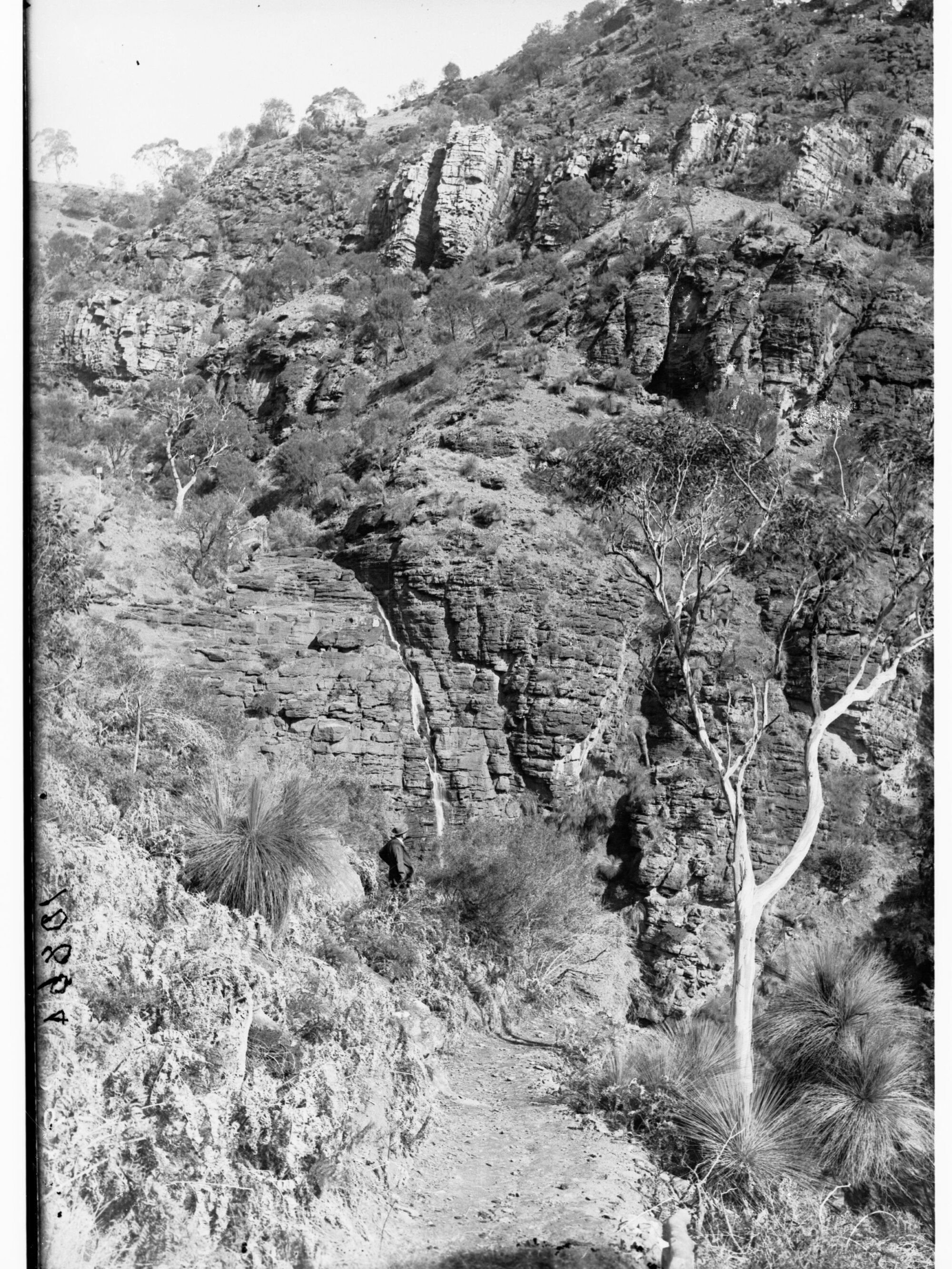 Morialta Falls