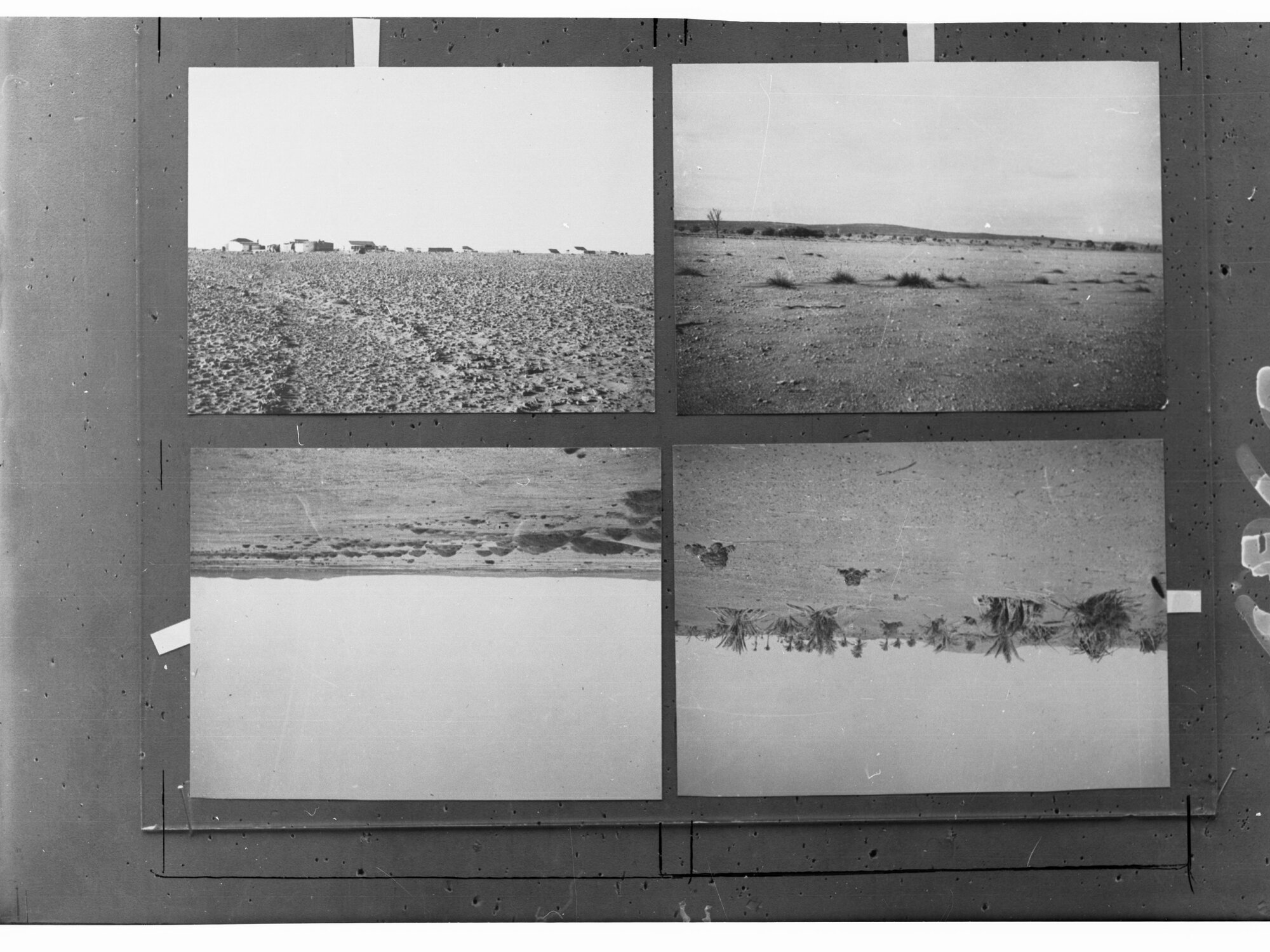 Desert Scenes