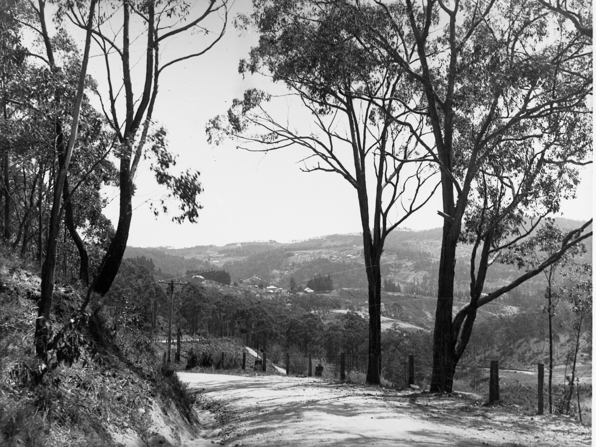 Road View, Biggs Hill,  Between Forest Range and Basket Range