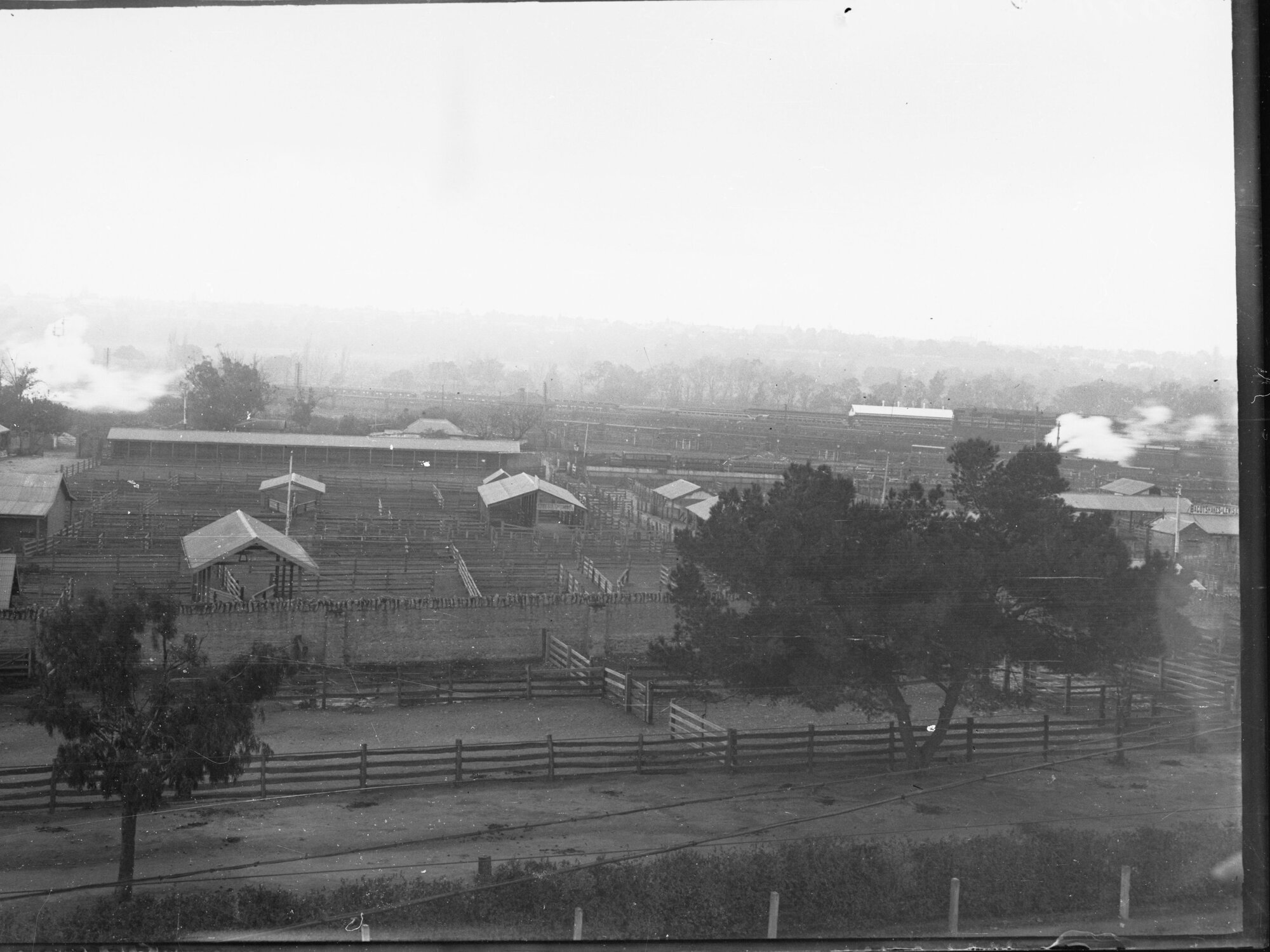Old sale yards on North Terrace, Adelaide