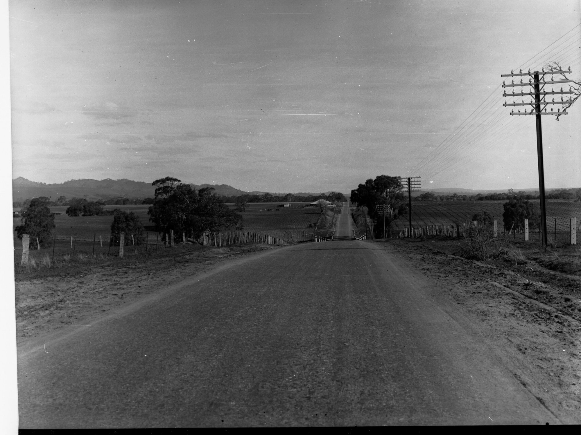Morgan Loxton Road Near Tanunda
