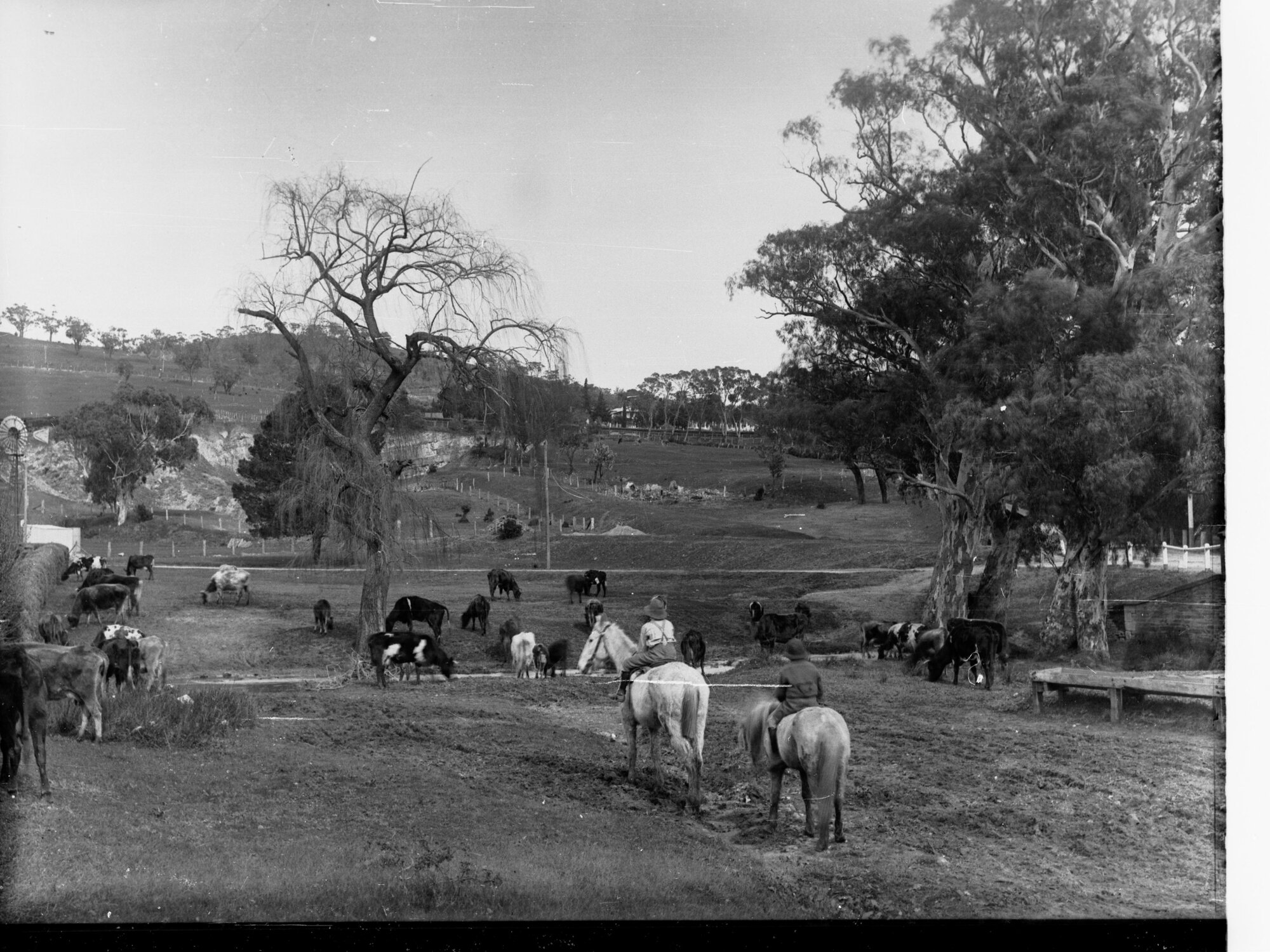 Children Riding Horses Mitcham Reserve