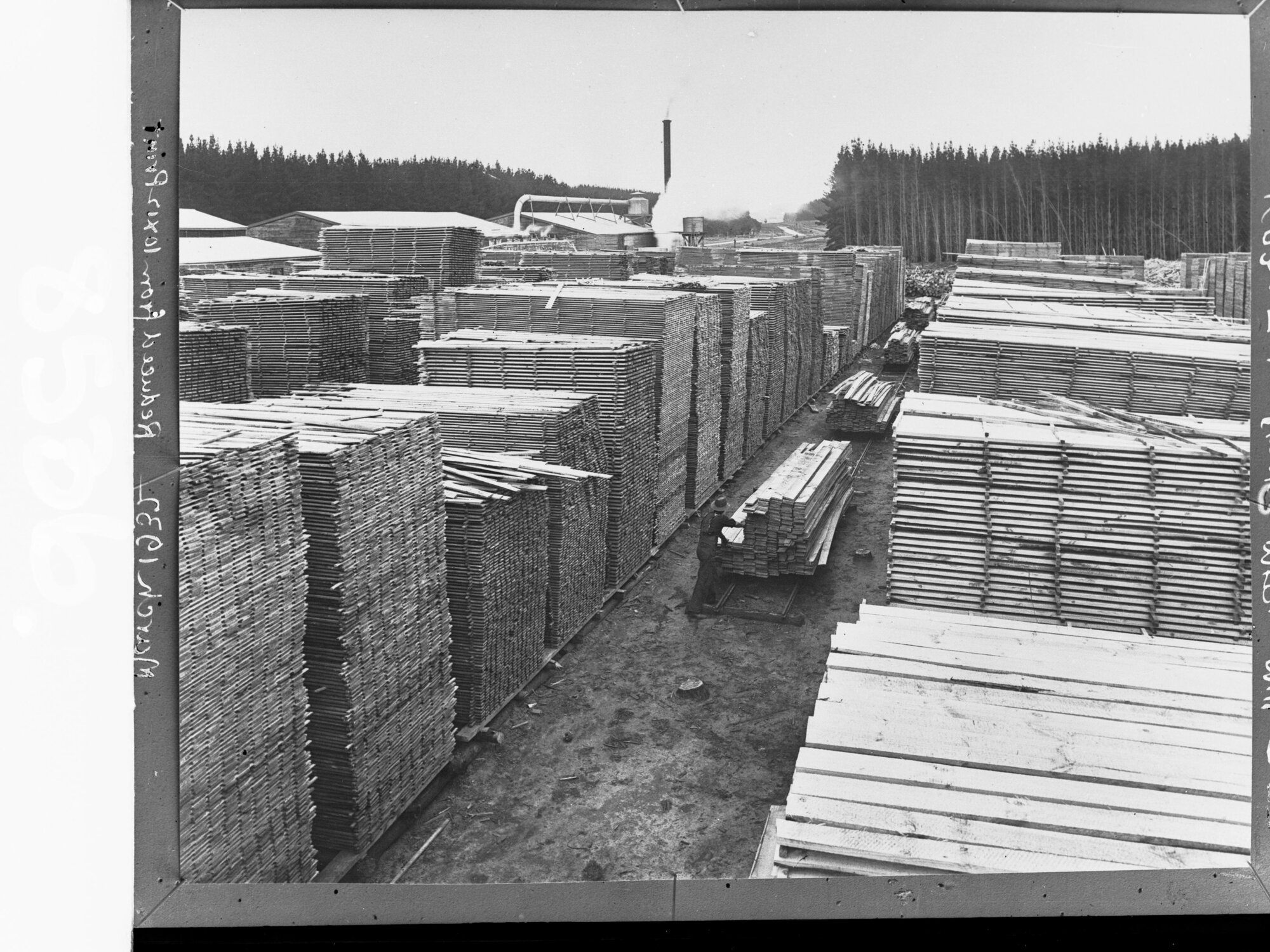 Timber Mill at Mount Burr Mill