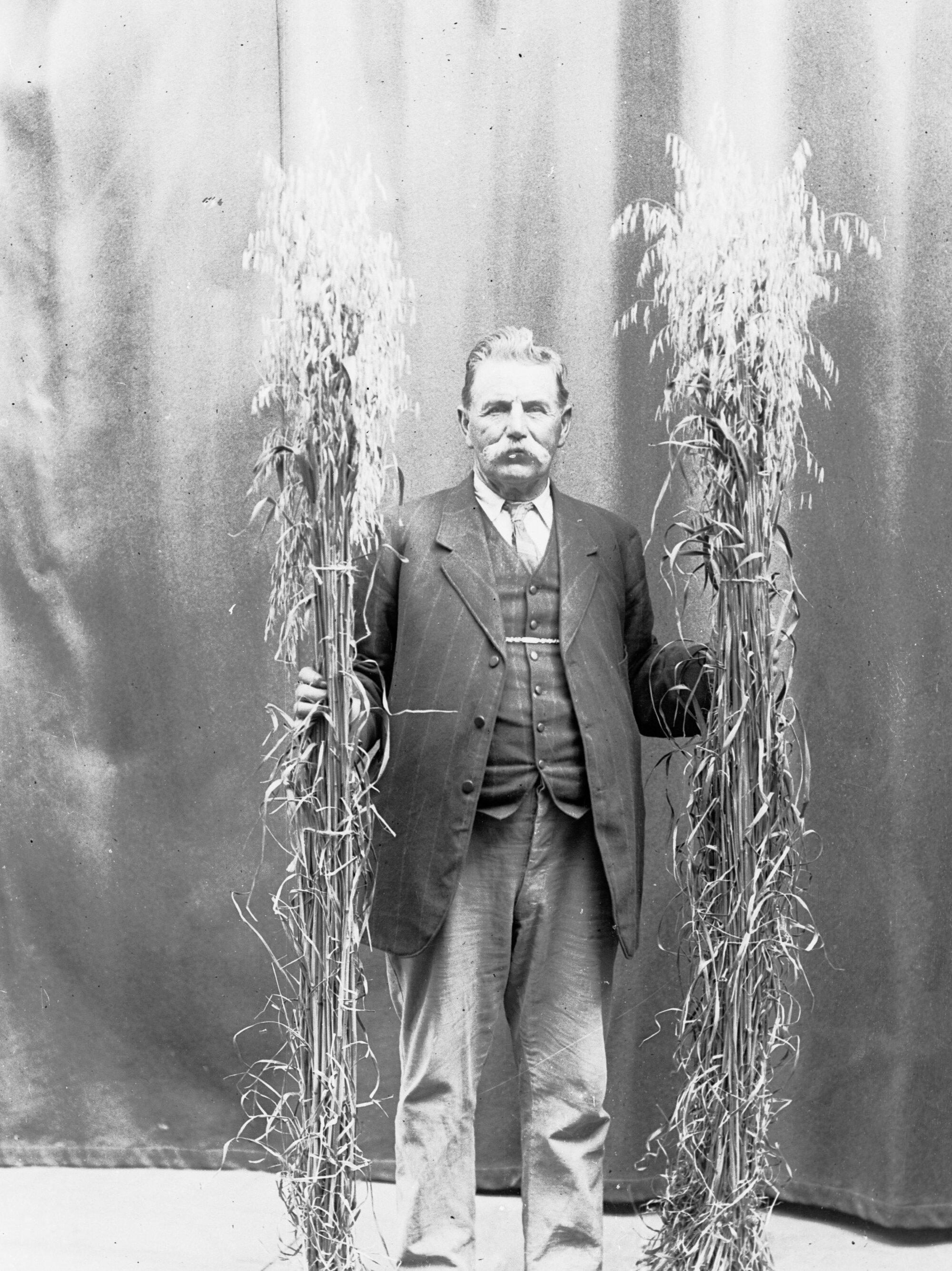 Man holding sample of wheat from Mypolonga