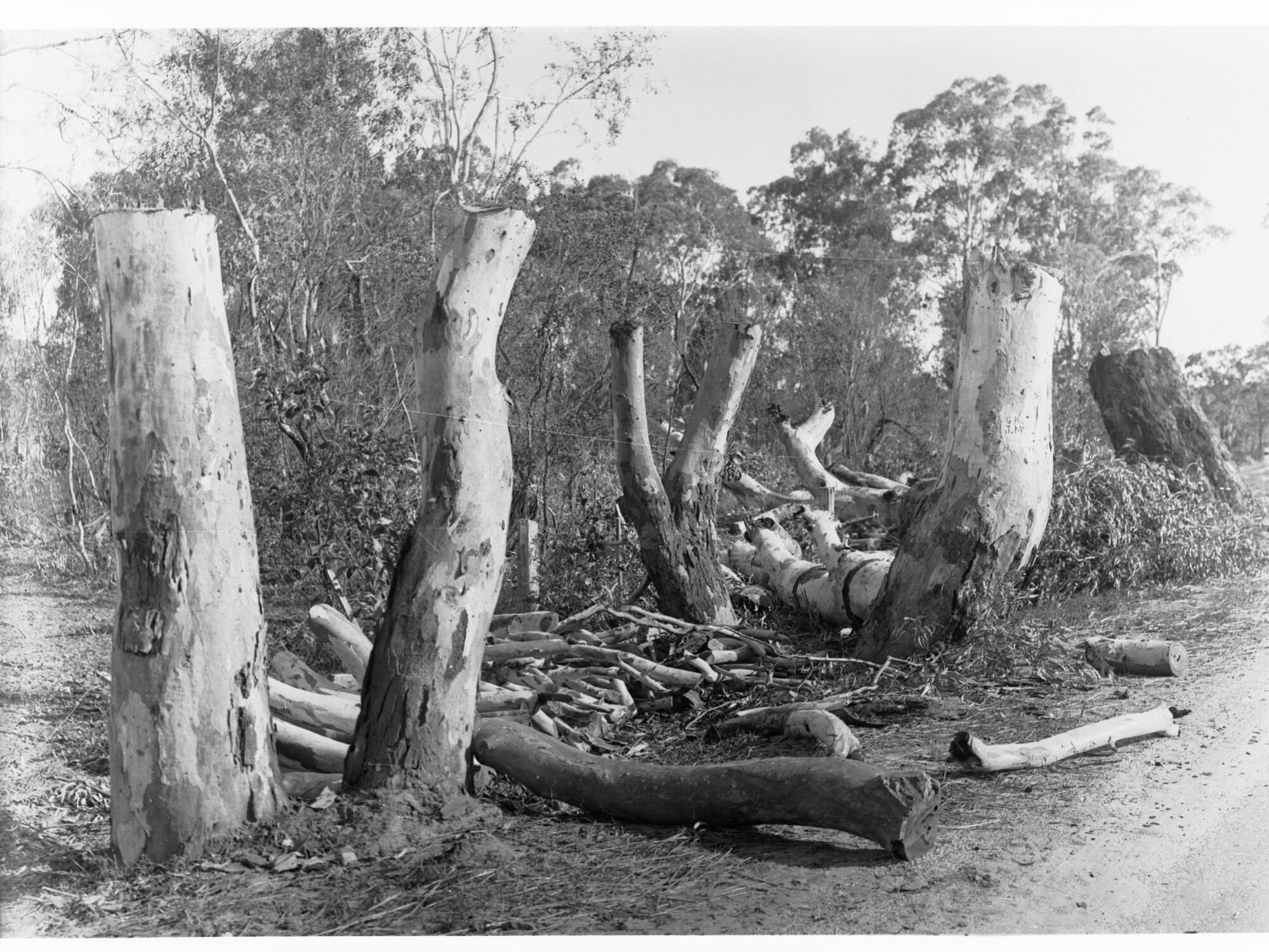 Sandy Creek and Lyndoch
