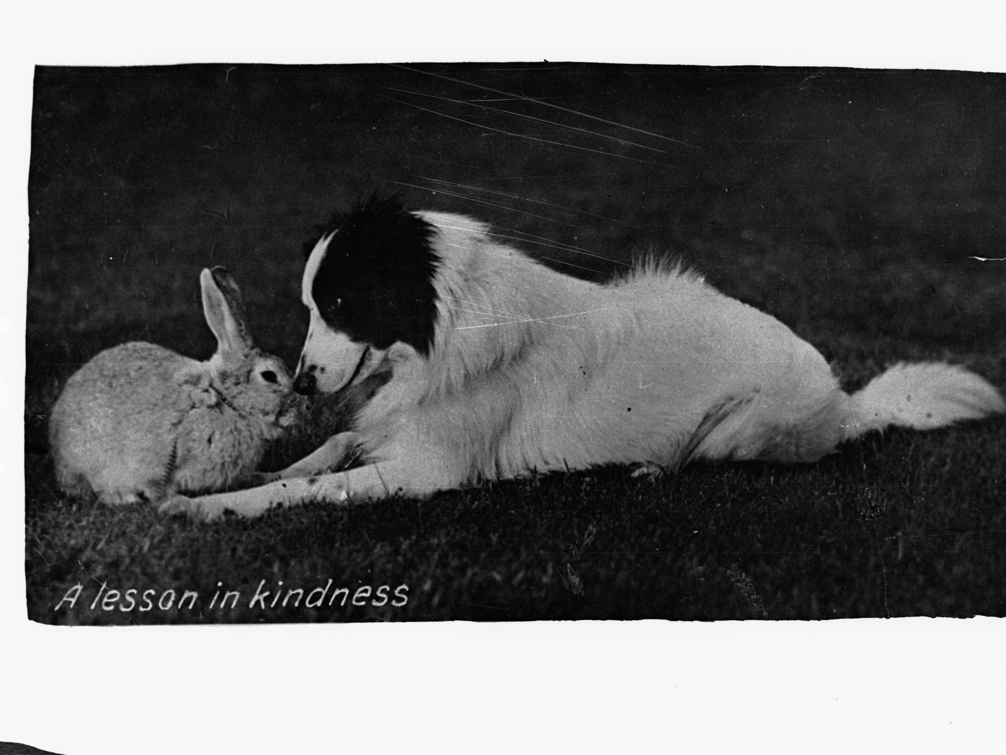 Minda Home postcard: A Lesson In Kindness 