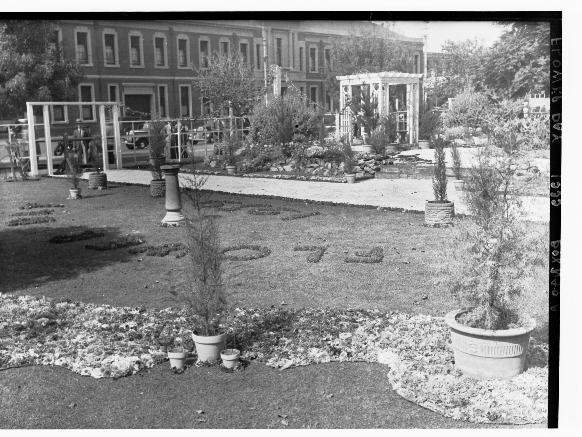 Flower Day showing a garden