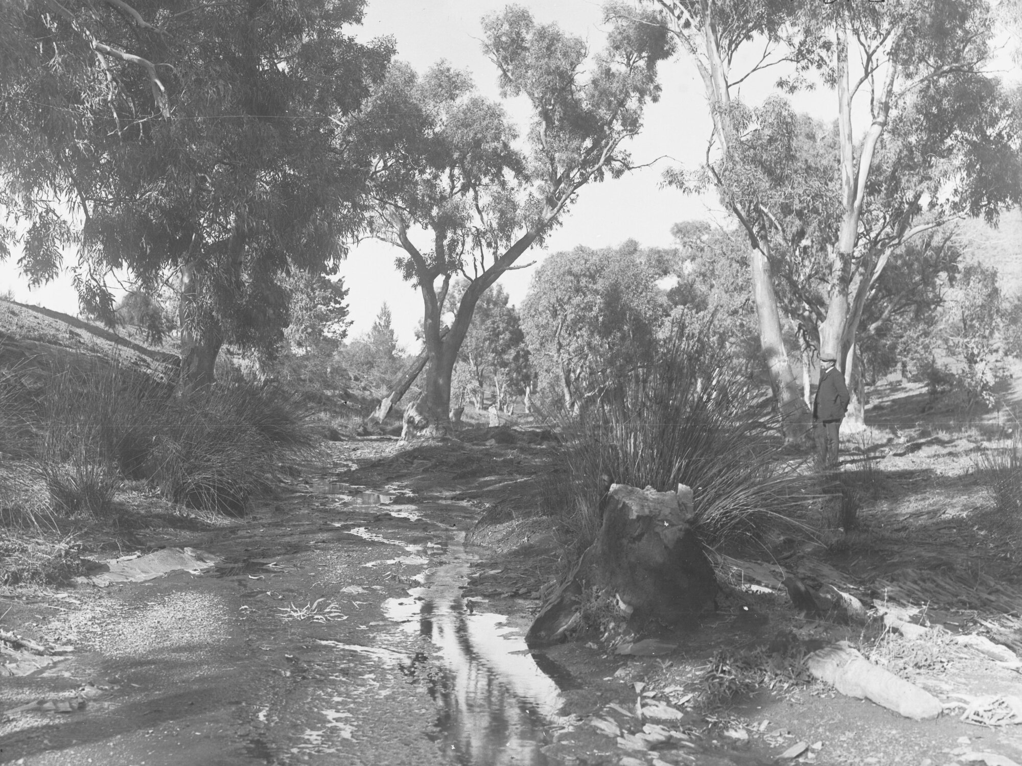 Angorichina Creek