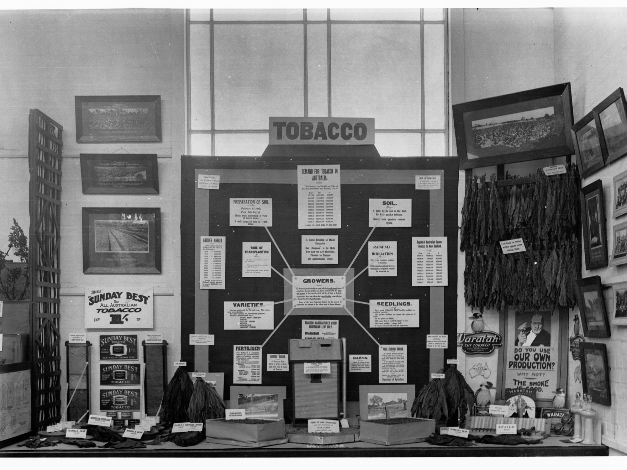Agricultural Department, test plot at the Royal Adelaide Show