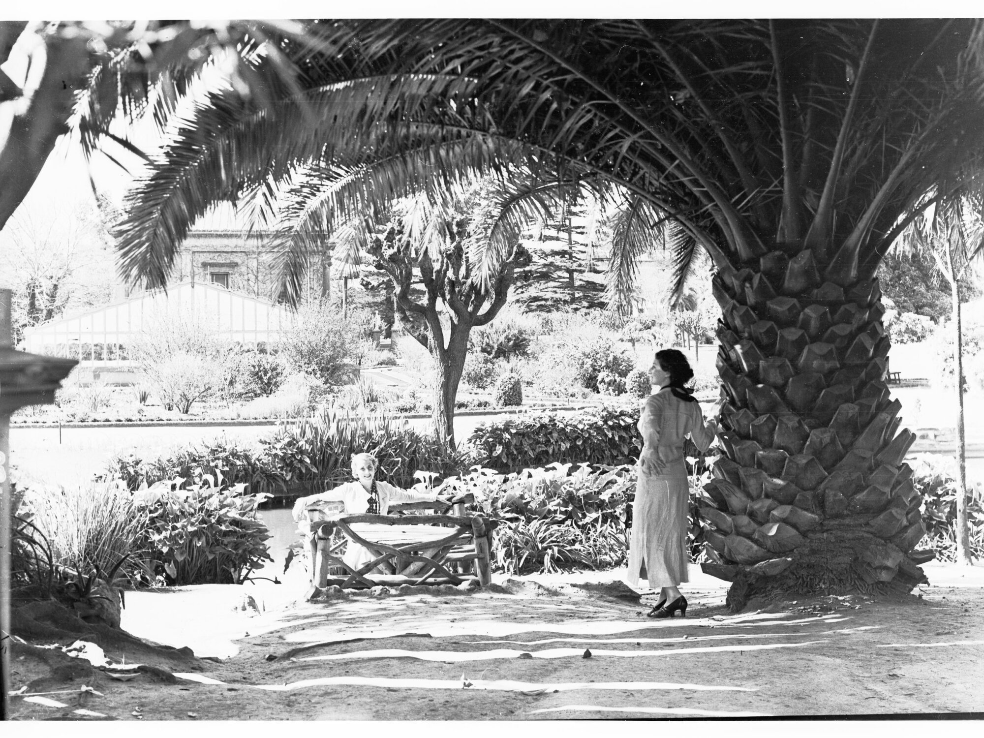 Botanic Gardens of Adelaide 