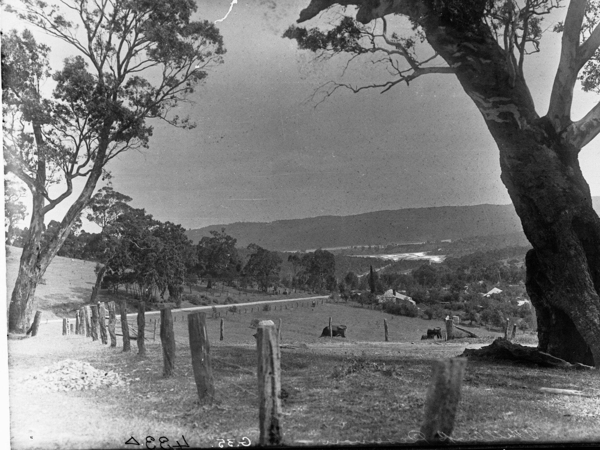 Mount Lofty Ranges