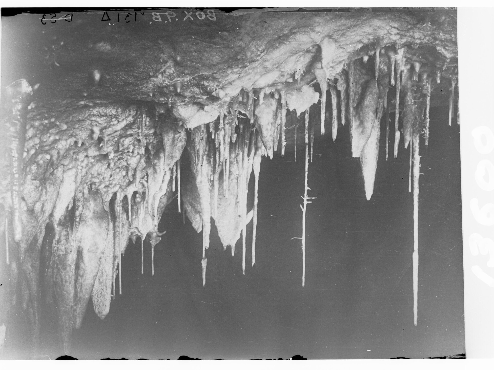 Stalagmites in Cave | History Trust