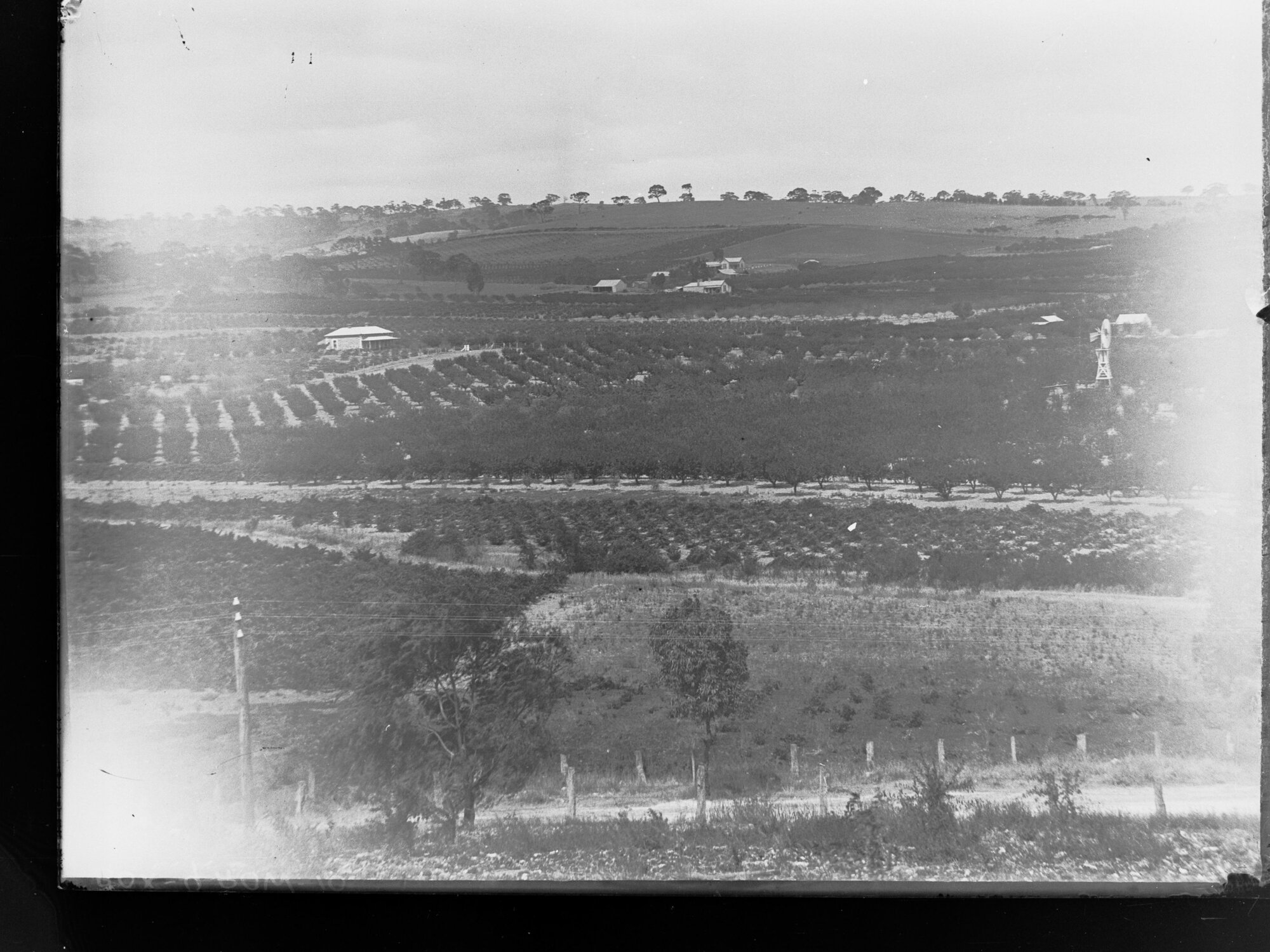 Mt Lofty Ranges orchards and gardens