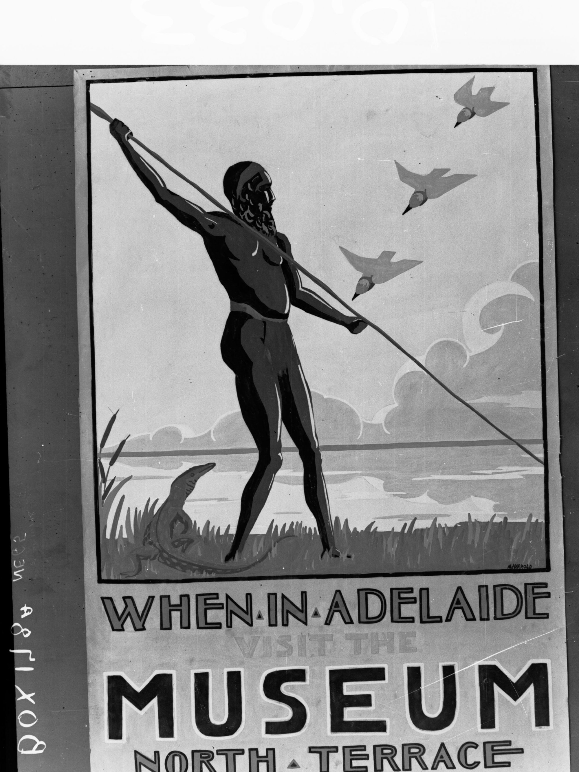 Advertisement for the South Australian Museum