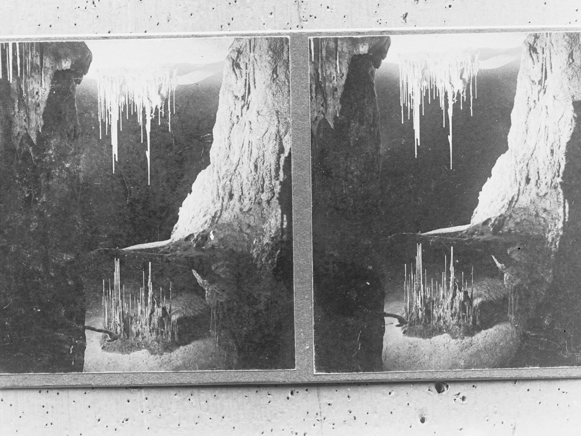 Alexandria Caves, Naracoorte, South Australia, interior view