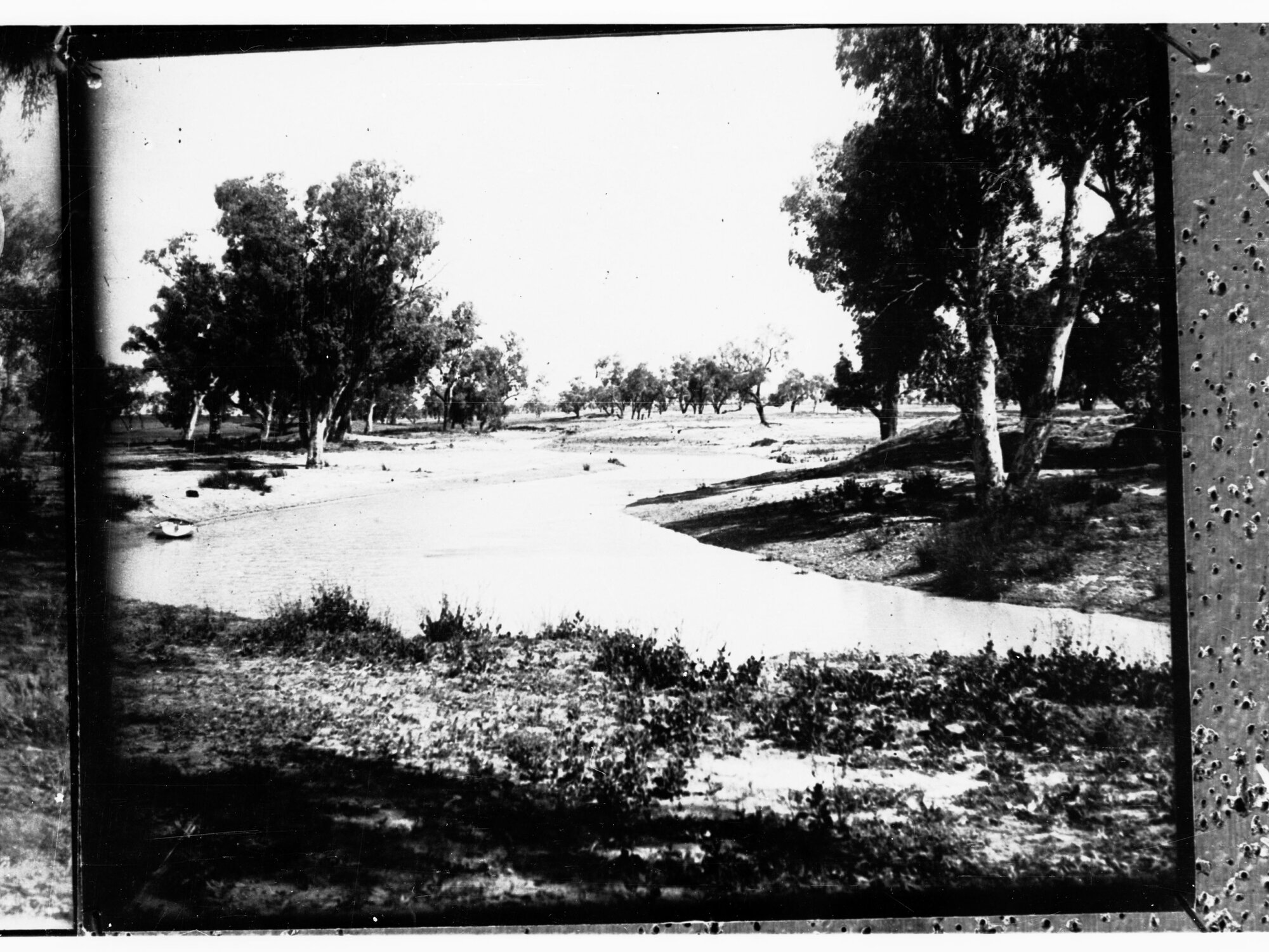 Northern Territory - bush scene