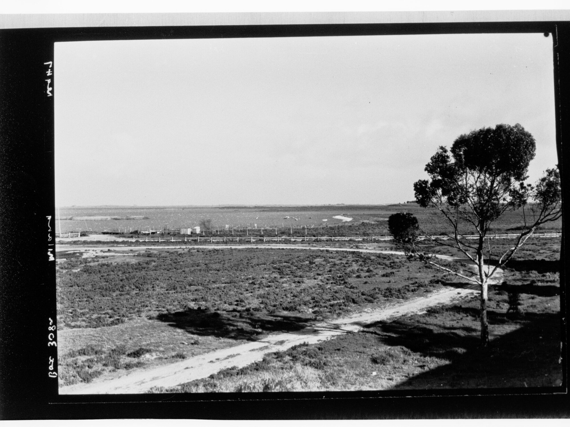 Milang - landscape