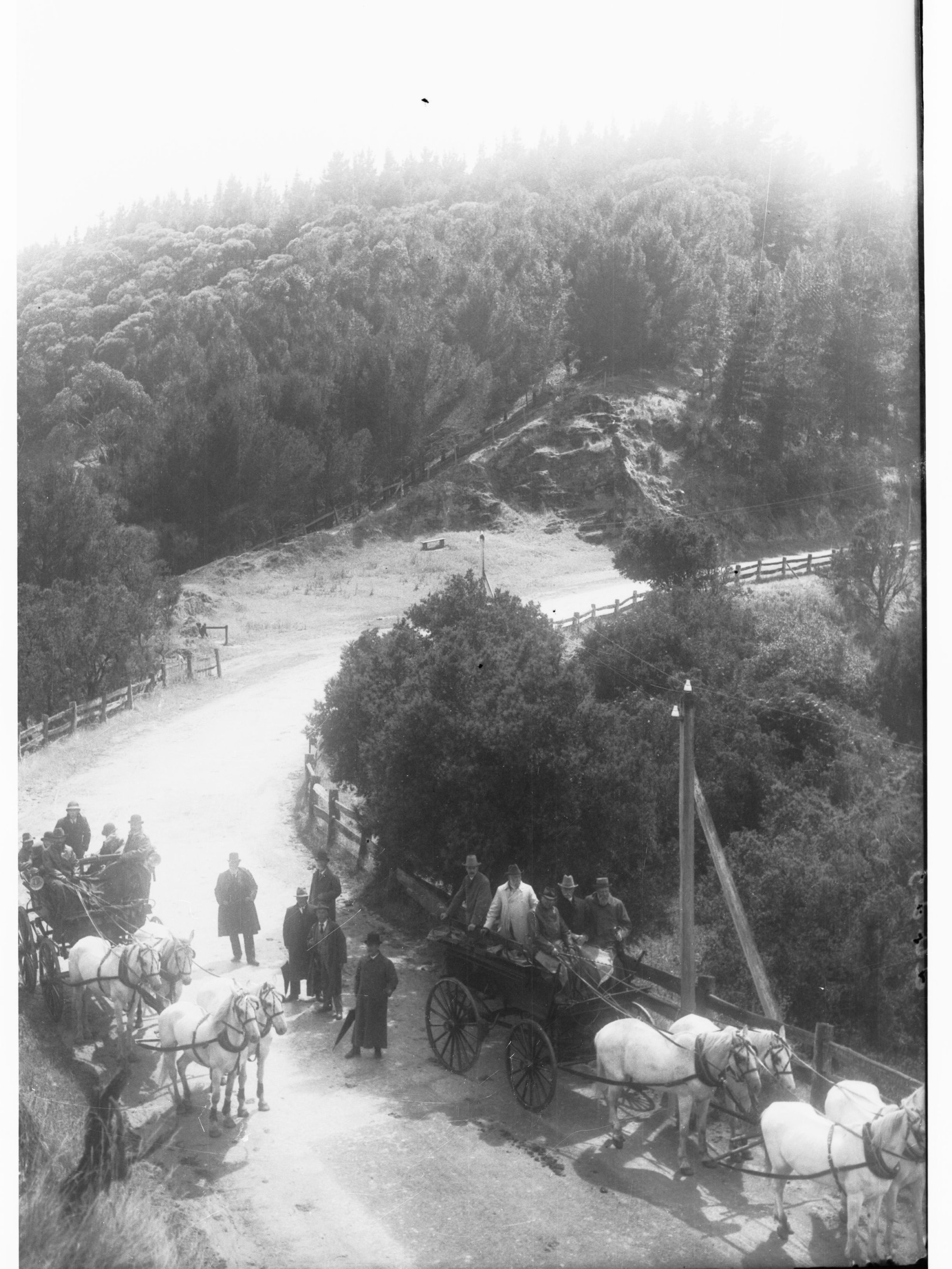 Group of Scotch Men Visiting Mount Gambier Showing Horses and Carts