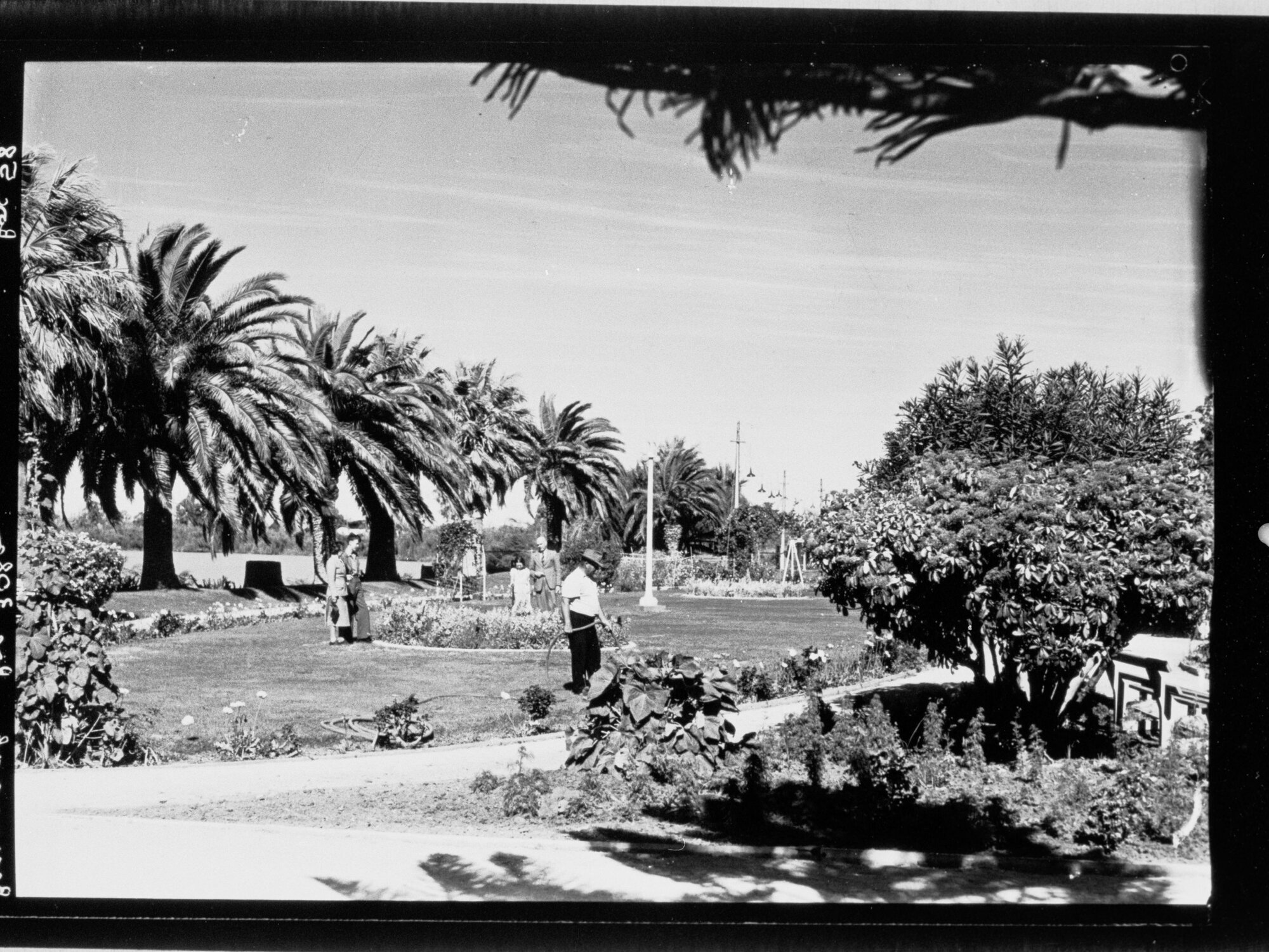 Renmark - gardens
