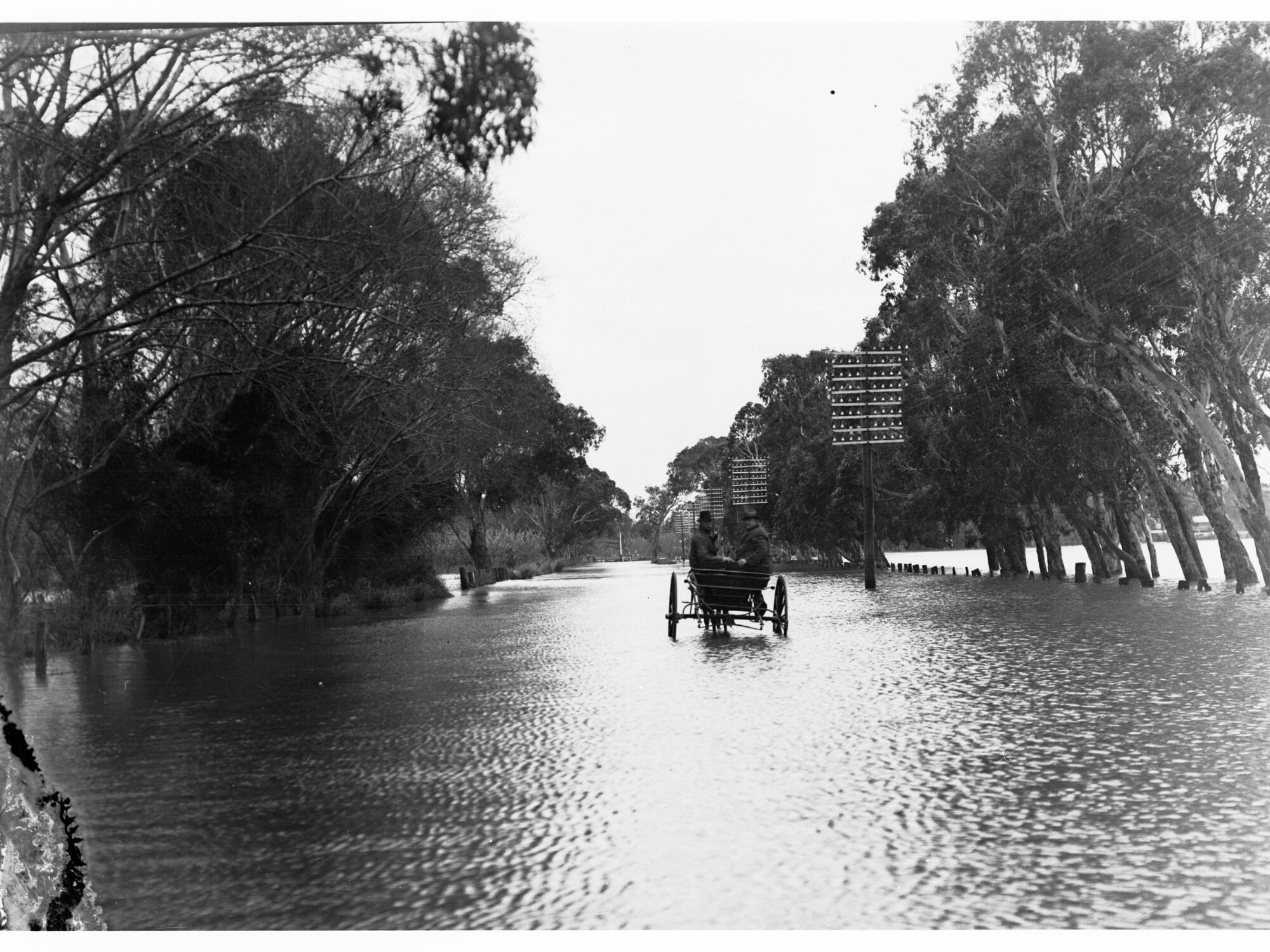 Flood at Lockleys