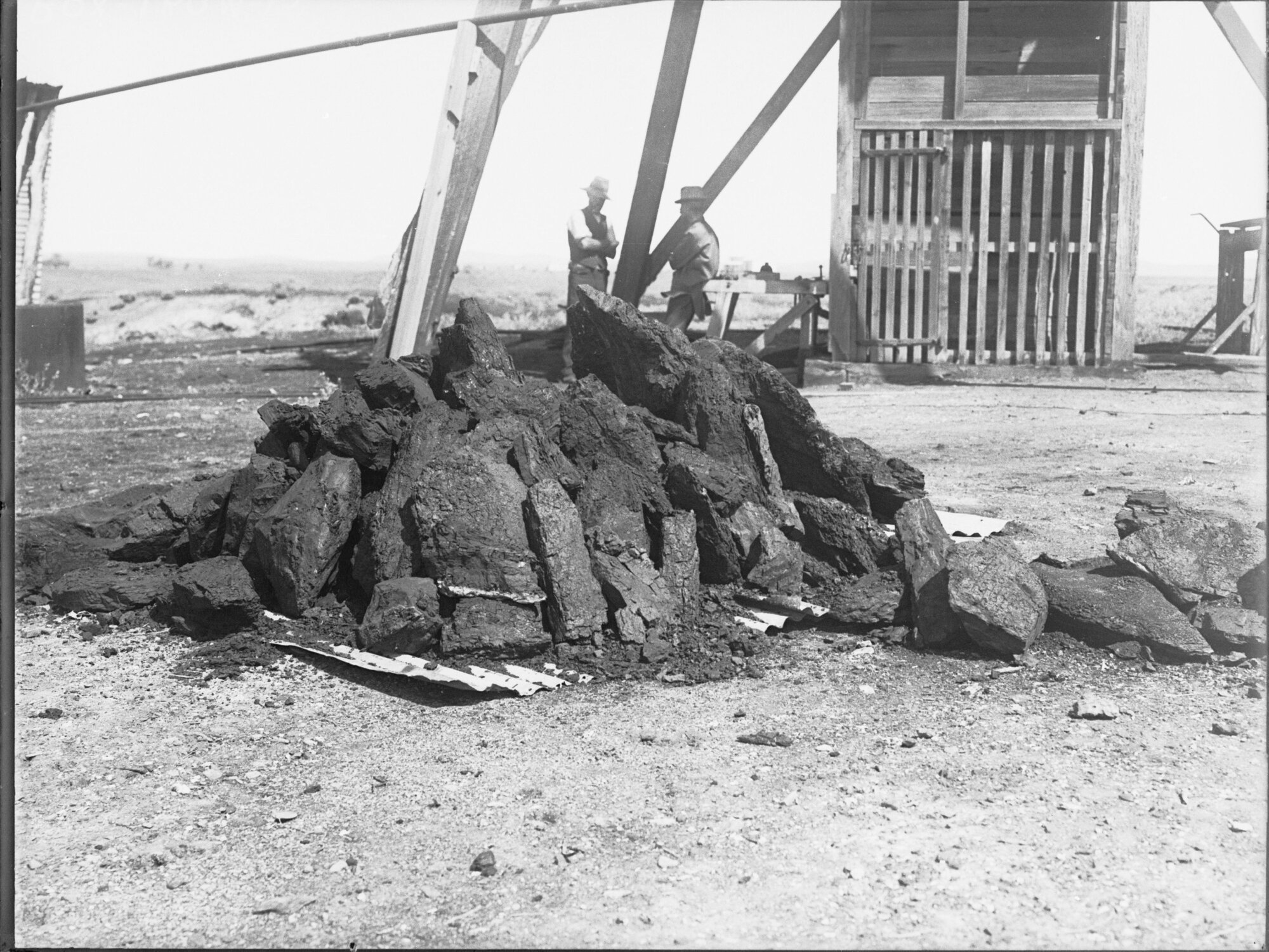Sample of coal from Leigh Creek, South Australia