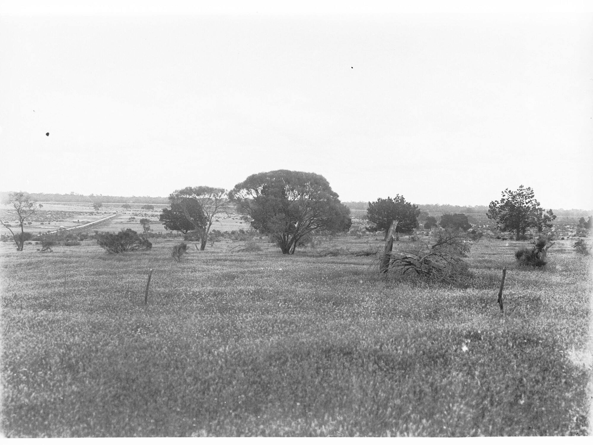 Rural view