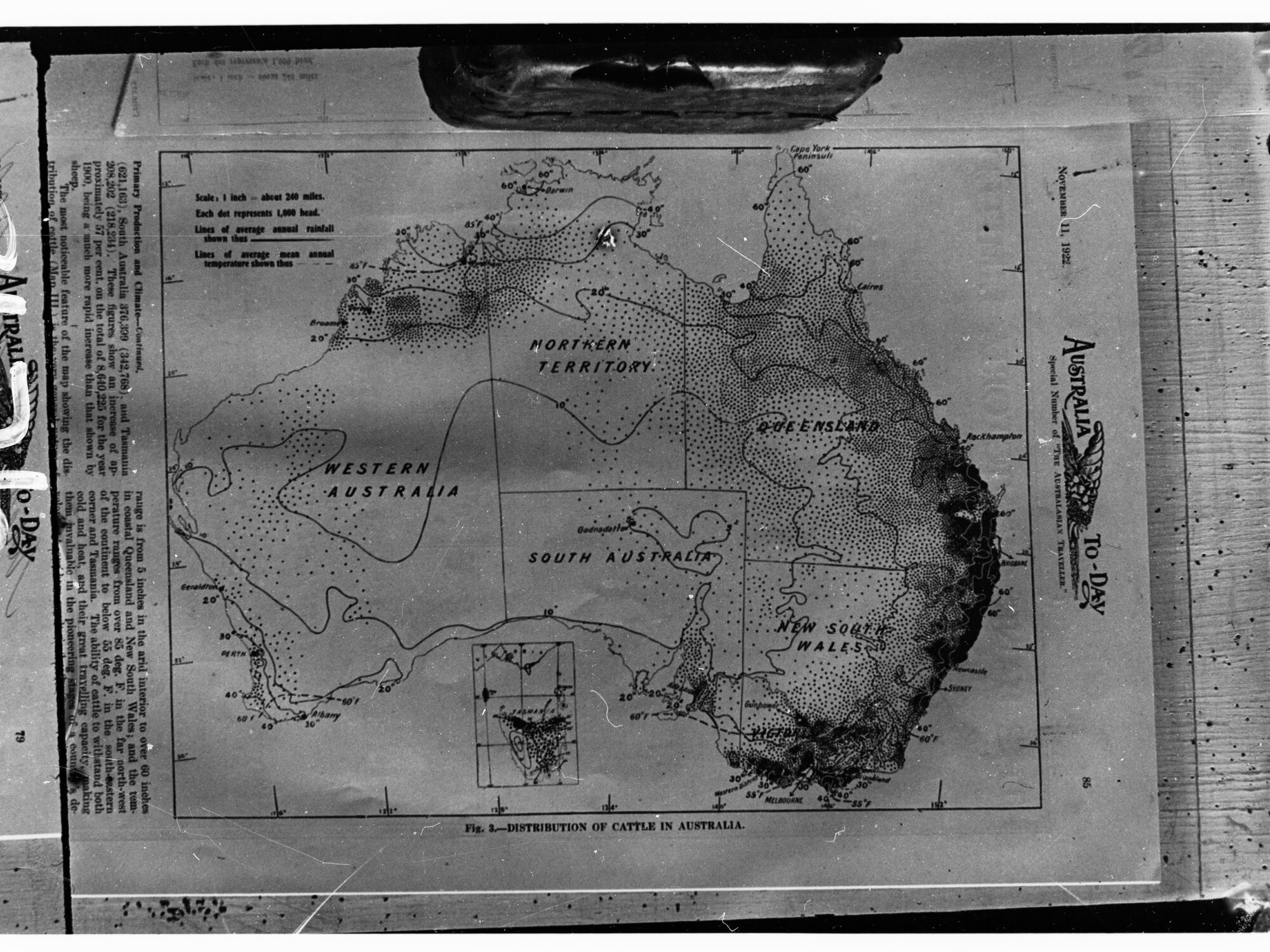 Map showing Distribution of Cattle in Australia