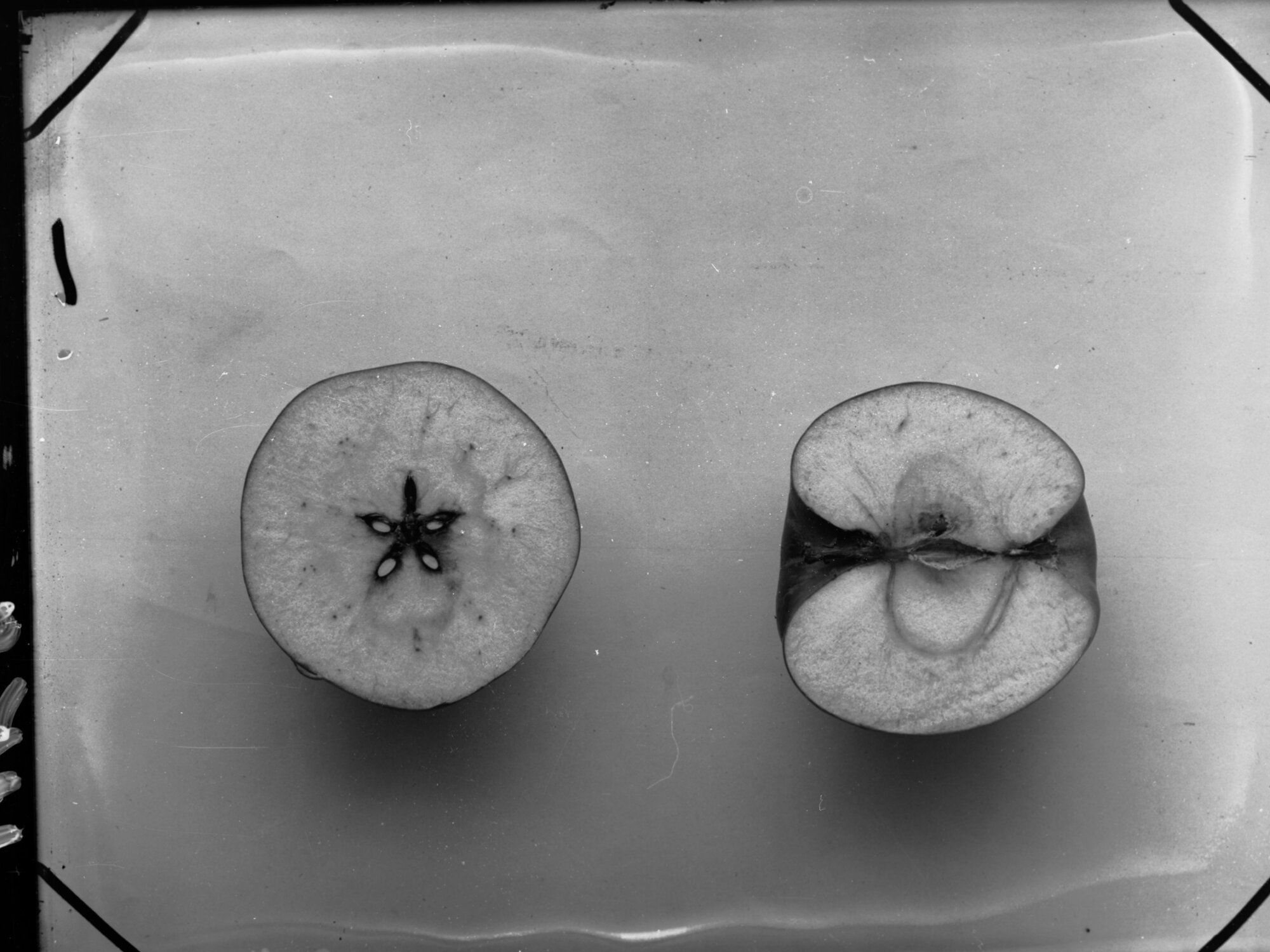 Sliced apples